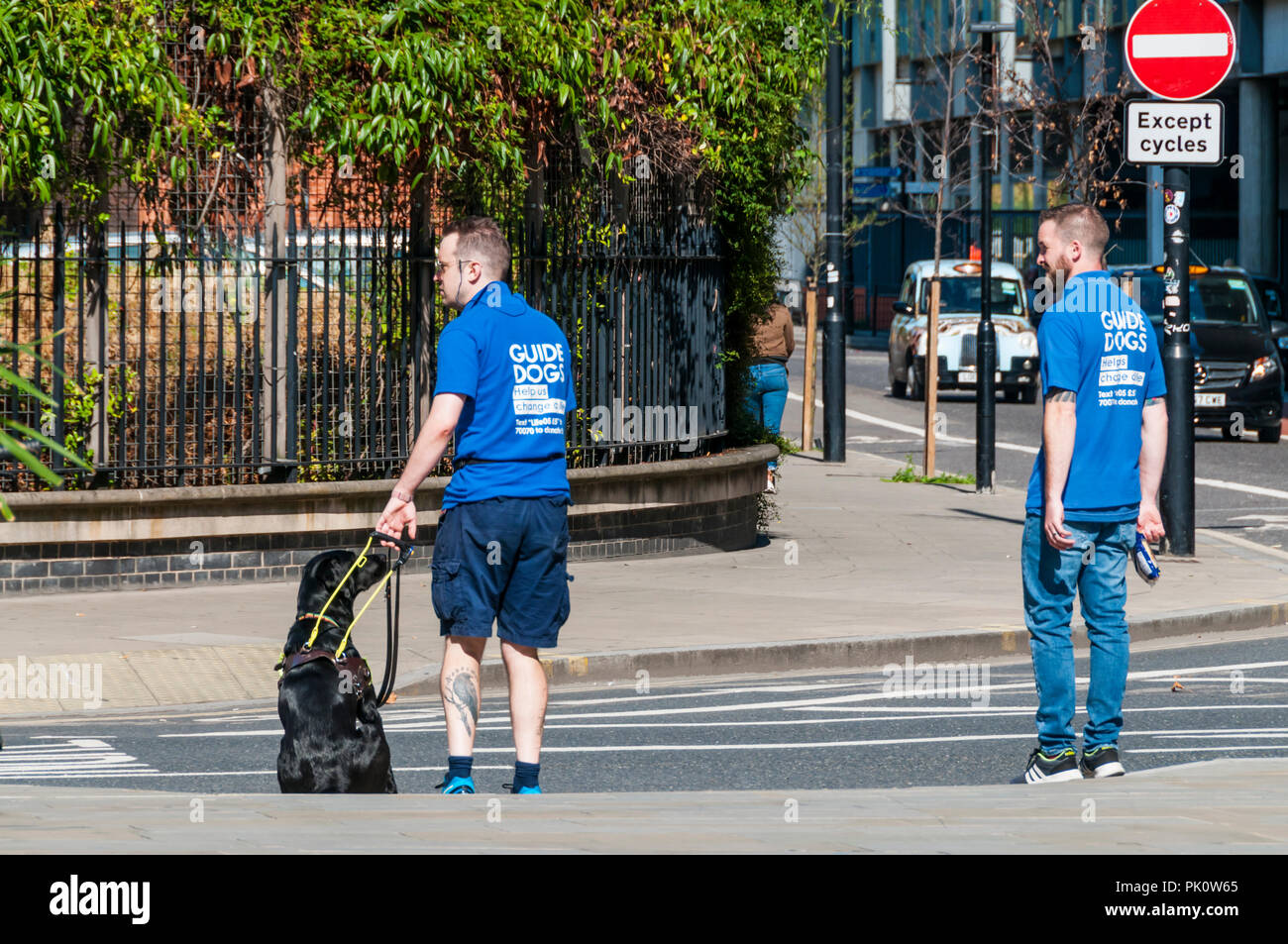 Chiens guides d'Aveugles Association chien-guide de la formation dans le centre de Londres. Banque D'Images