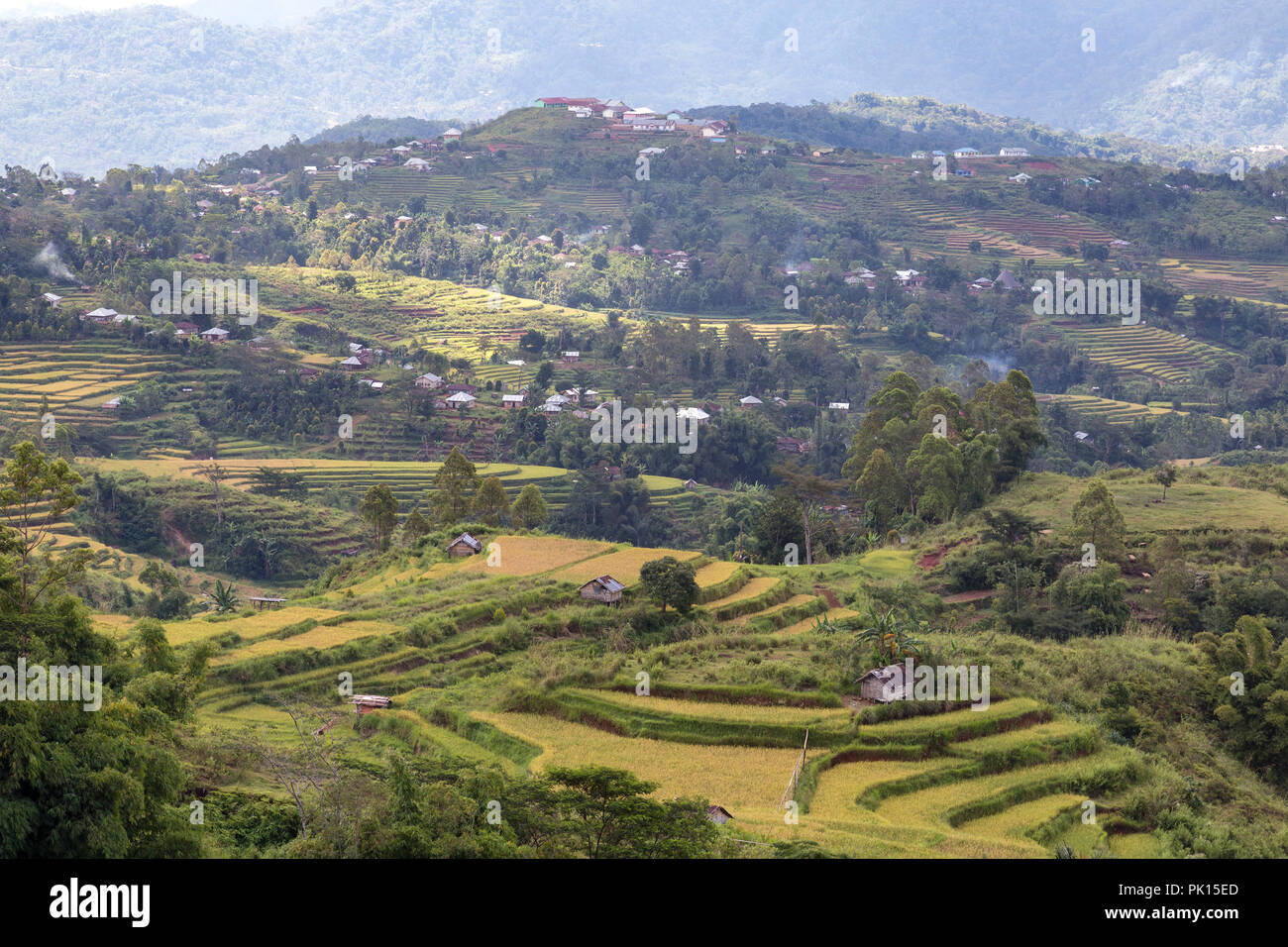 Vue agrandie du Golo Cador des terrasses de riz à Ruteng sur Flores, en Indonésie. Banque D'Images