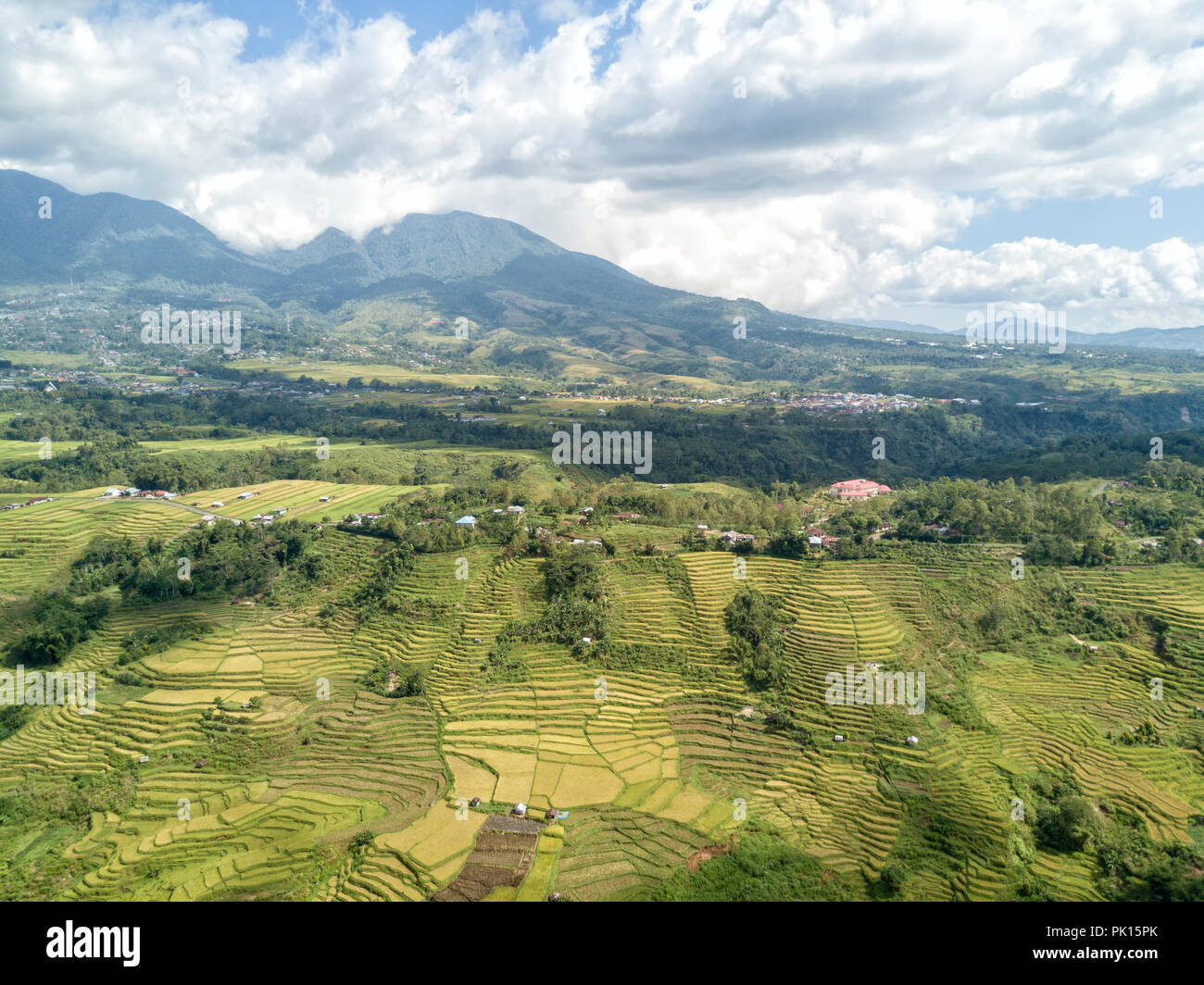 Vue aérienne d'une petite partie de l'Golo Cador des terrasses de riz à Ruteng sur Flores, en Indonésie. Banque D'Images