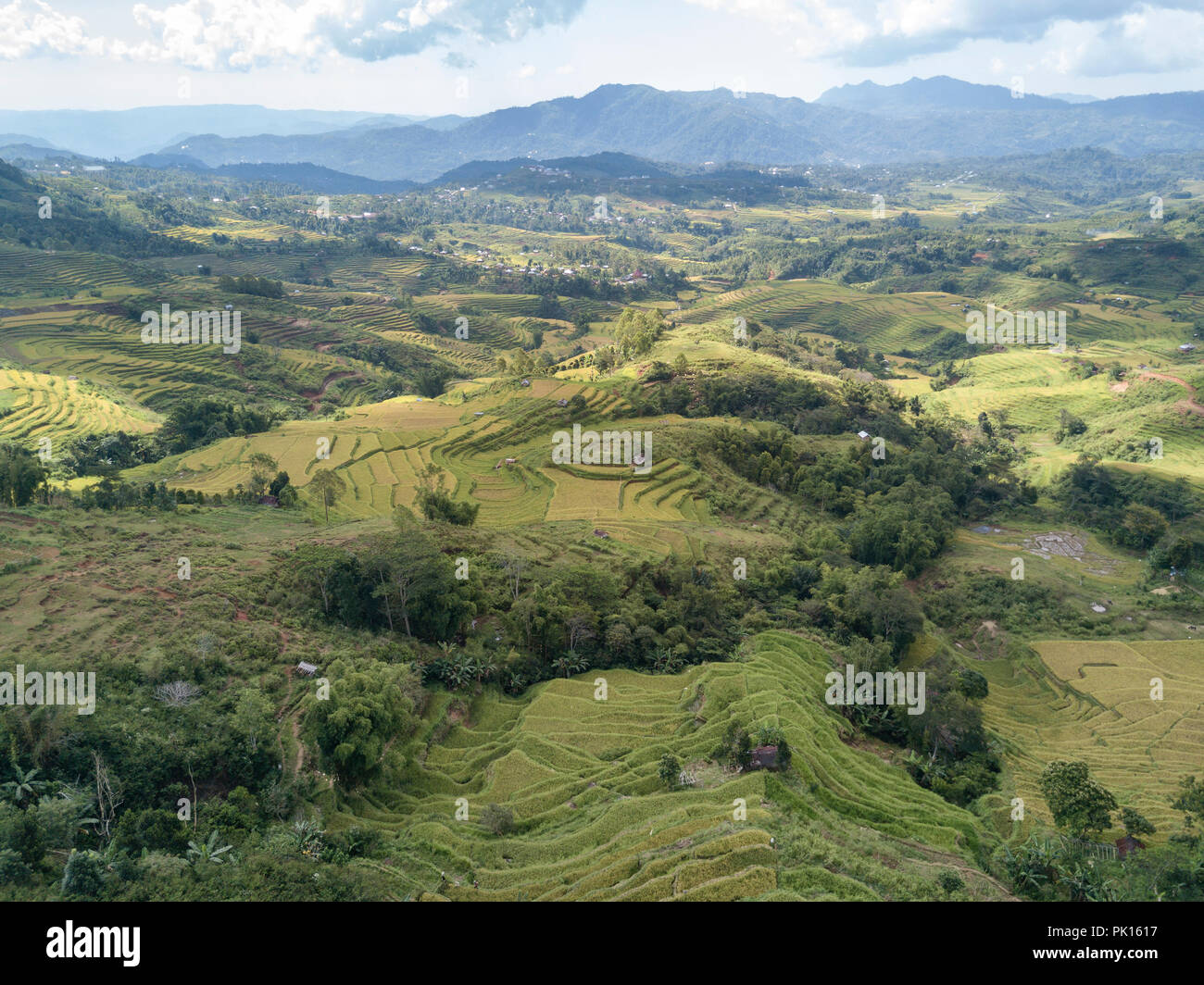 Vue aérienne de paysage à la Golo Cador des terrasses de riz à Ruteng sur Flores, en Indonésie. Banque D'Images
