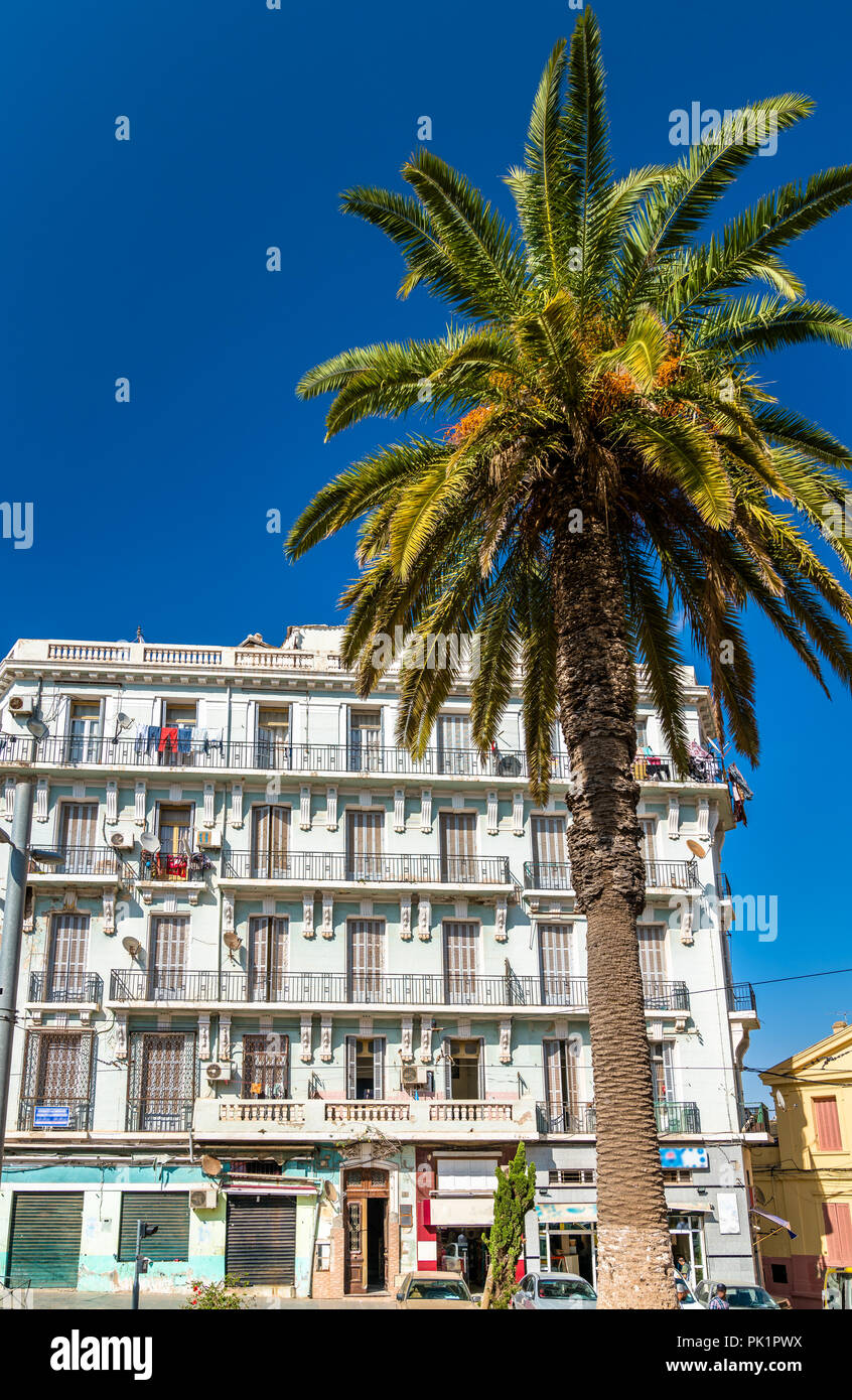 Palmier et un bâtiment colonial français à Oran, Algérie Banque D'Images