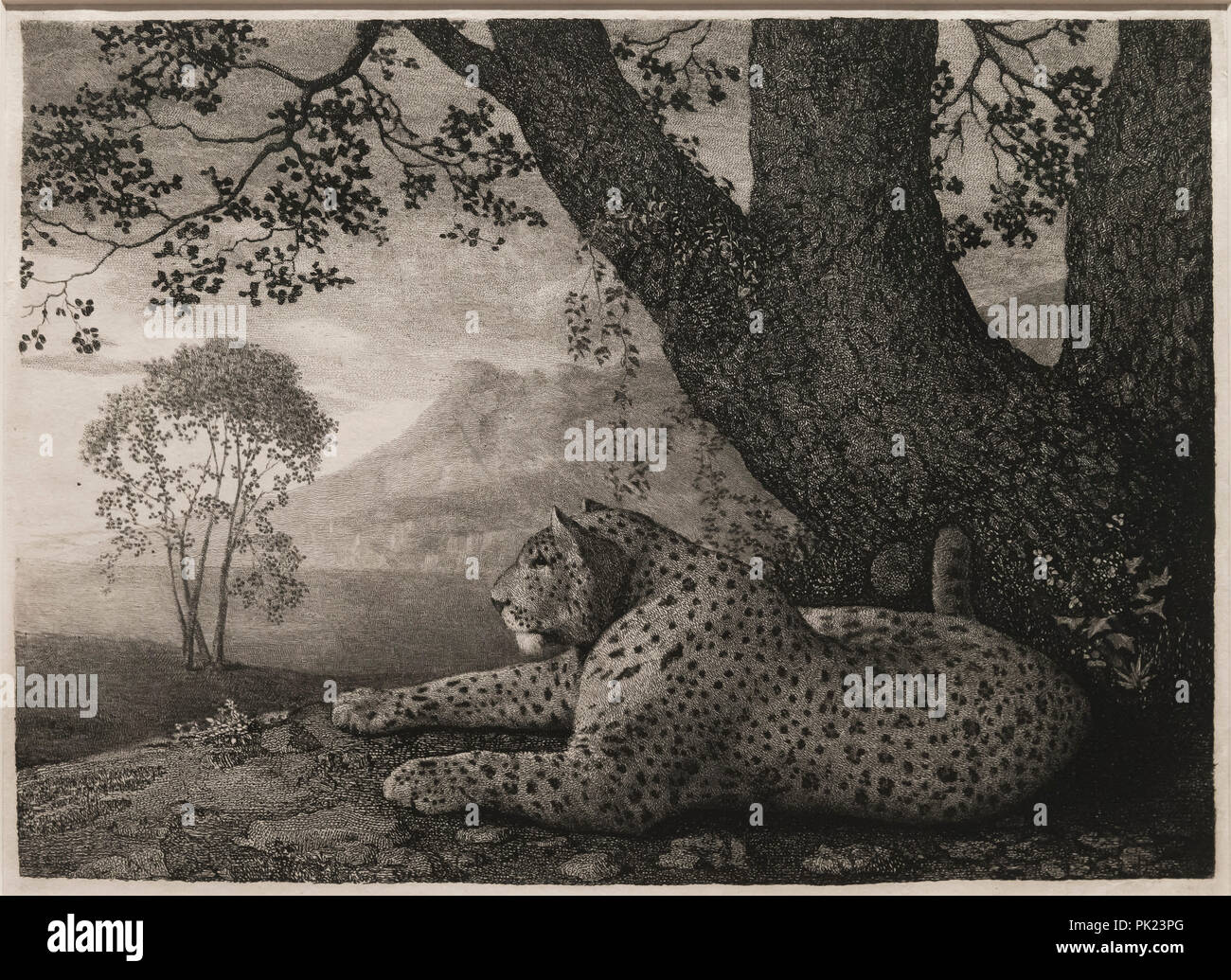 Un Tyger, d'un vélo Leopard par un arbre, George Stubbs, 1788, Art Institute of Chicago, Chicago, Illinois, USA, Amérique du Nord, Banque D'Images