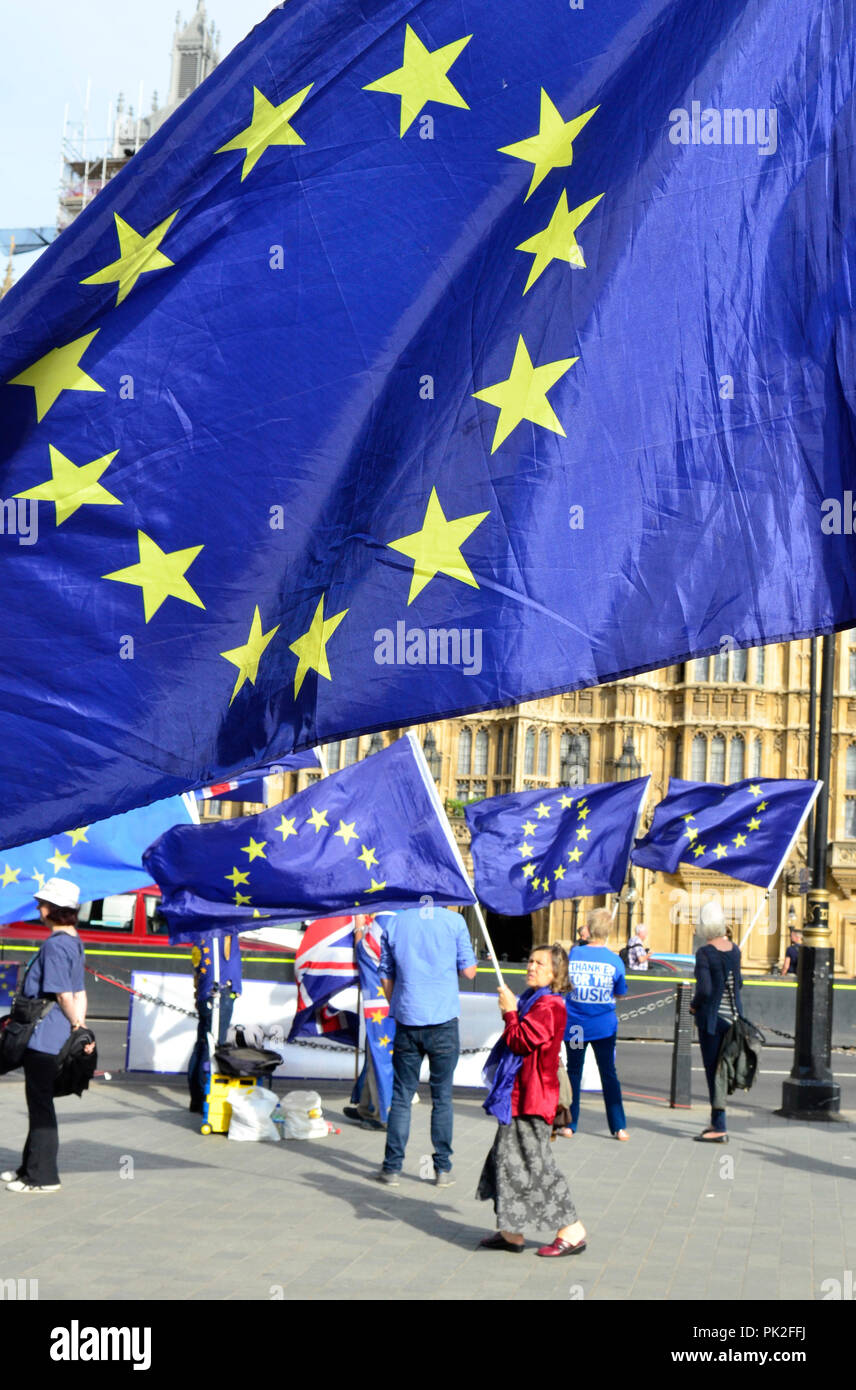 Londres, 10 sept. Steve Bray et ses collègues manifestants anti-Brexit continue leur manifestation silencieuse devant les Chambres du Parlement en tant que députés de discuter de l'Europe dans la chambre Crédit : PjrFoto/Alamy Live News Banque D'Images