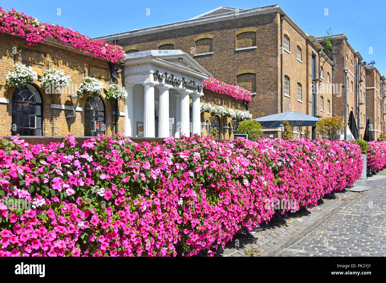 Scène de rue de Londres West India Quay Canary Wharf Pétunia à fleurs Wetherspoons historique livre Building London England UK business restaurant pub Banque D'Images
