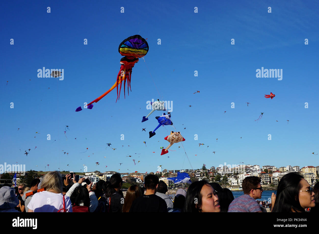 Cerfs-volants et les foules au Festival du vent à Sydney Bondi Beach Banque D'Images