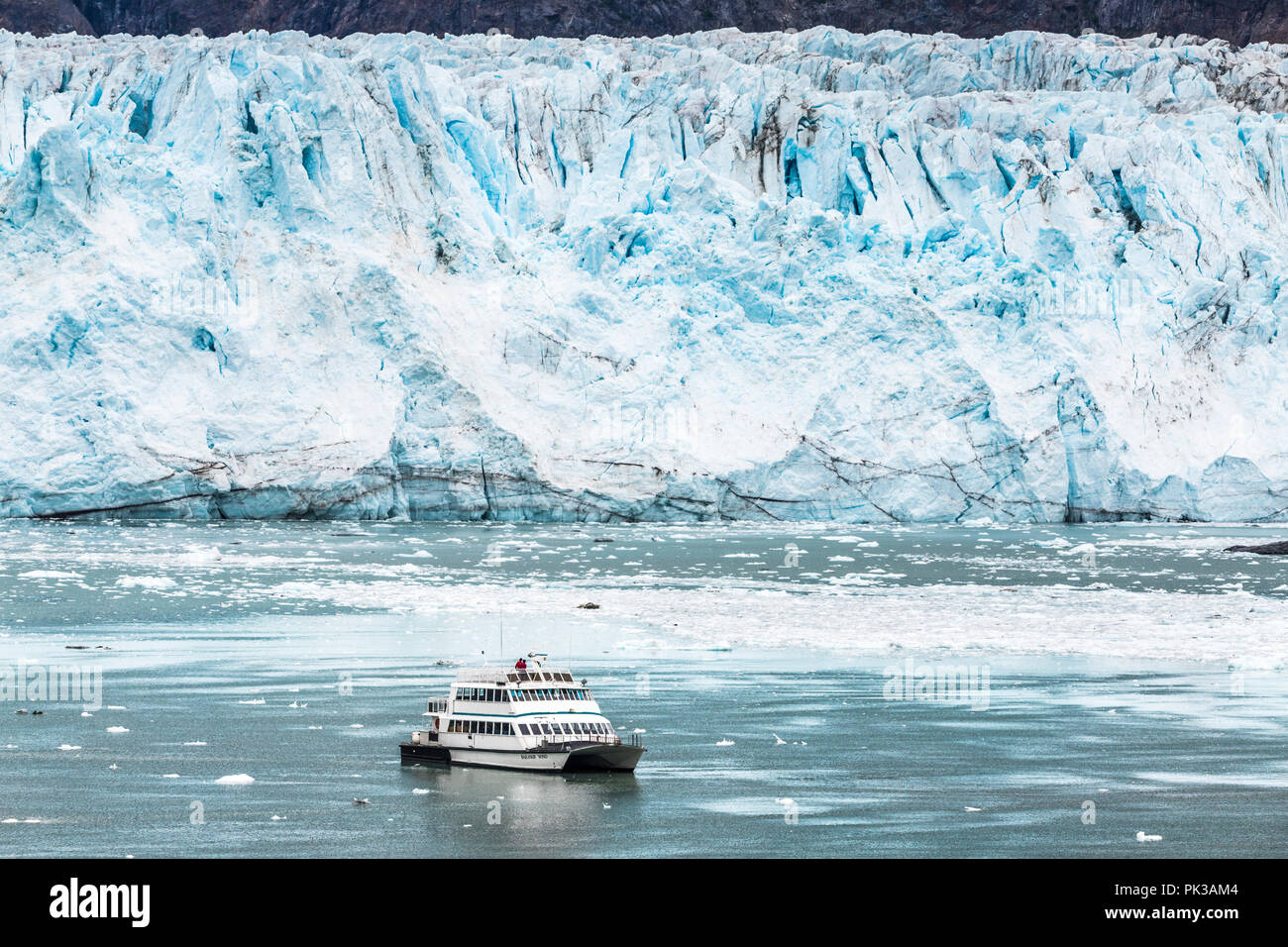Le bateau d'excursion vent Baranof touristes donnant une vue rapprochée de la face cassée de la Margerie Glacier dans l'entrée de Tarr Glacier Bay, Alaska, USA Banque D'Images