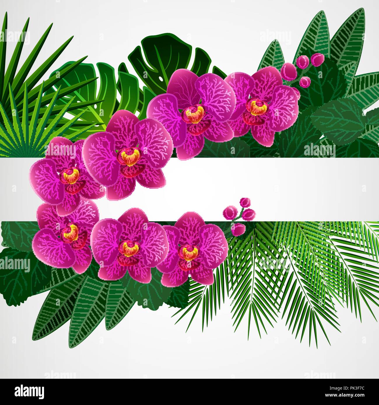 Floral design arrière-plan. Fleurs d'orchidées. Illustration de Vecteur