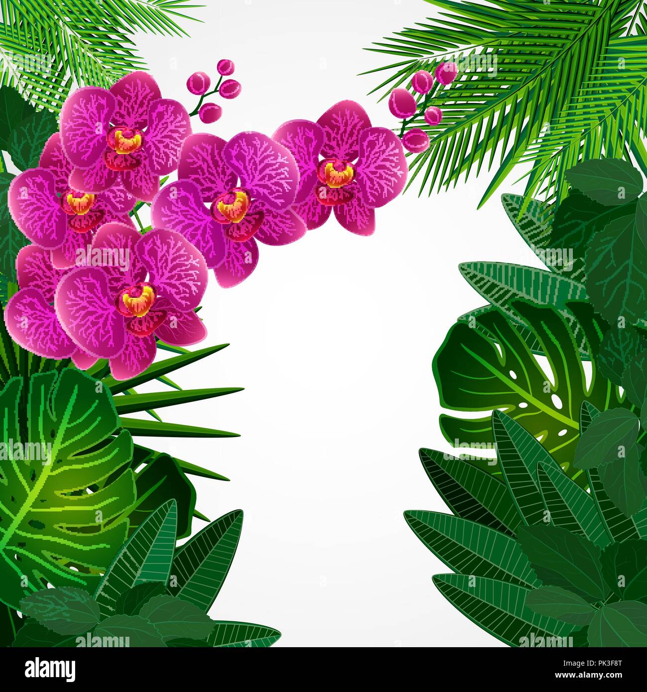 Floral design arrière-plan. Fleurs d'orchidées. Illustration de Vecteur