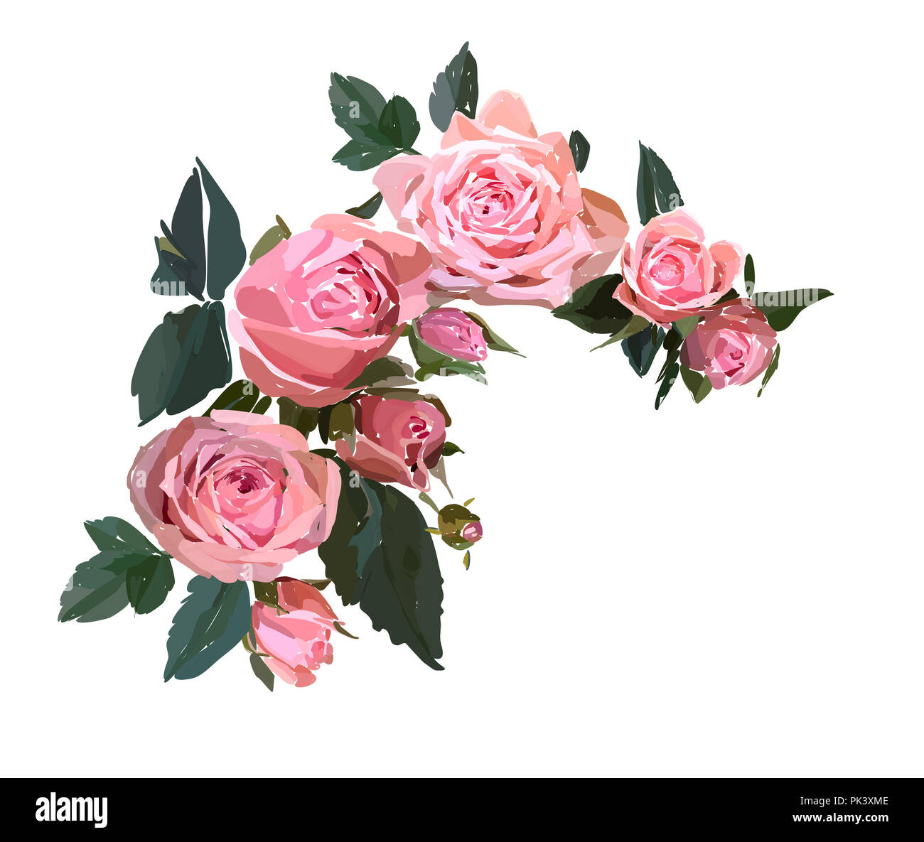 Floral Design Illustration Fleur De Jardin Rose Rose Isolé