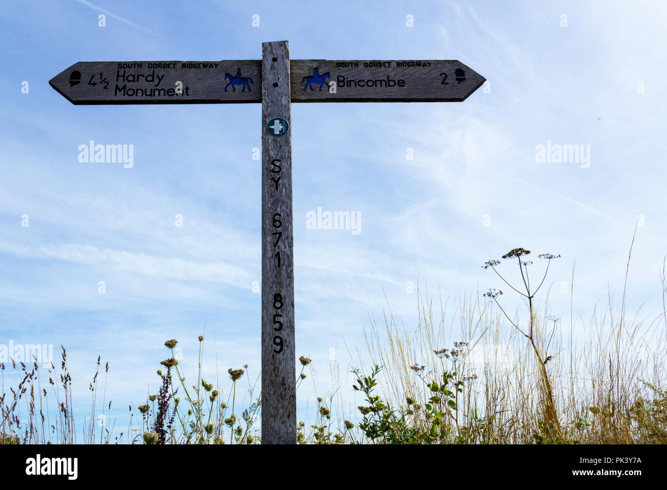 Tir bas de waymarker sur sentier dans le Dorset, en Angleterre, prises contre un ciel bleu pâle, et avec la croissance de la végétation en dessous Banque D'Images