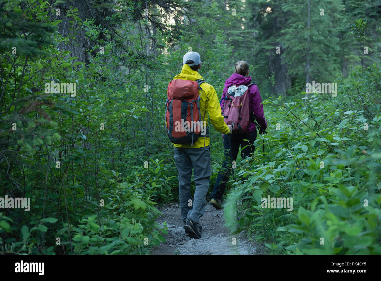 Deux randonnées en forêt Banque D'Images
