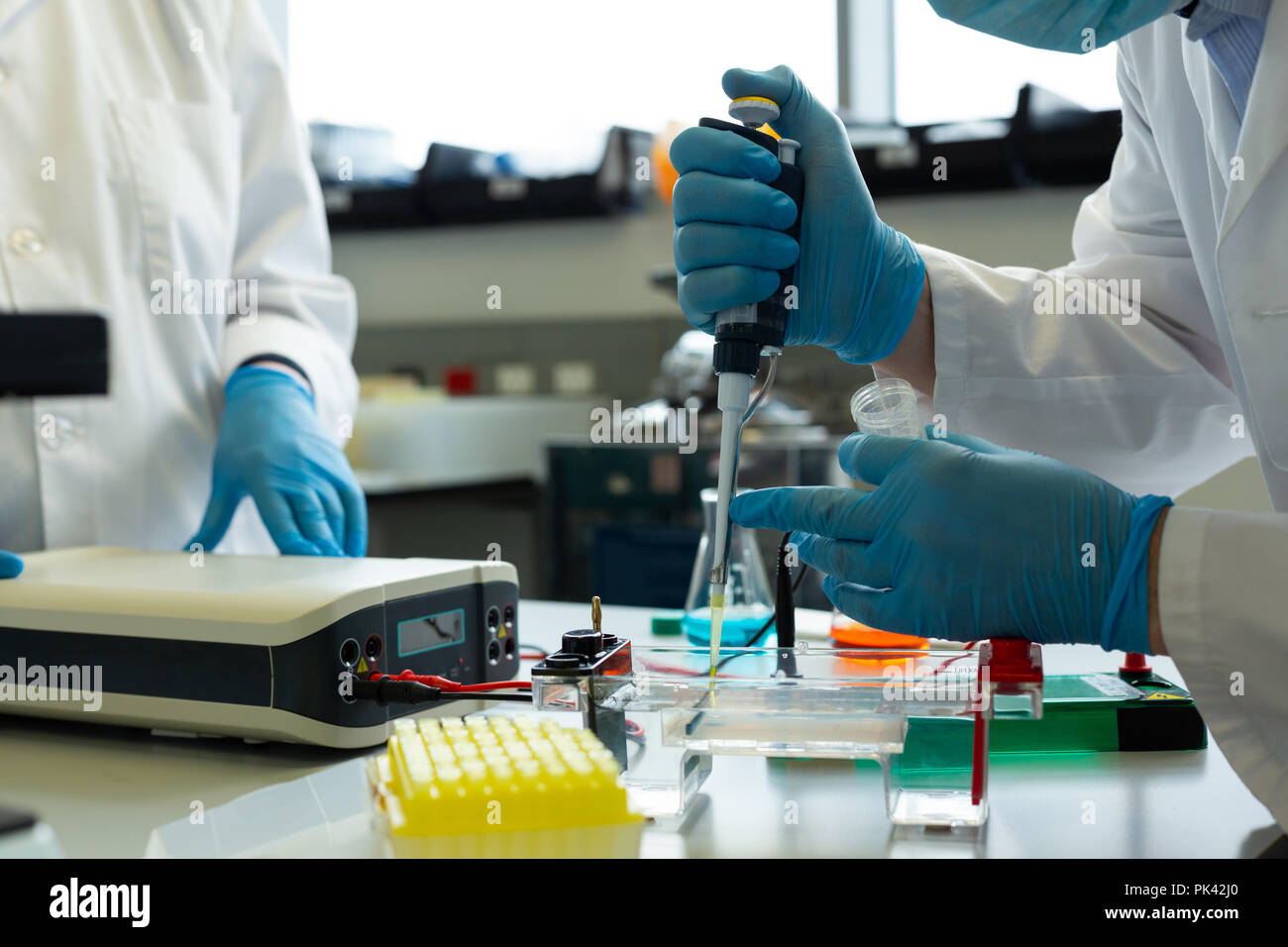 Des expériences scientifiques en laboratoire Banque D'Images