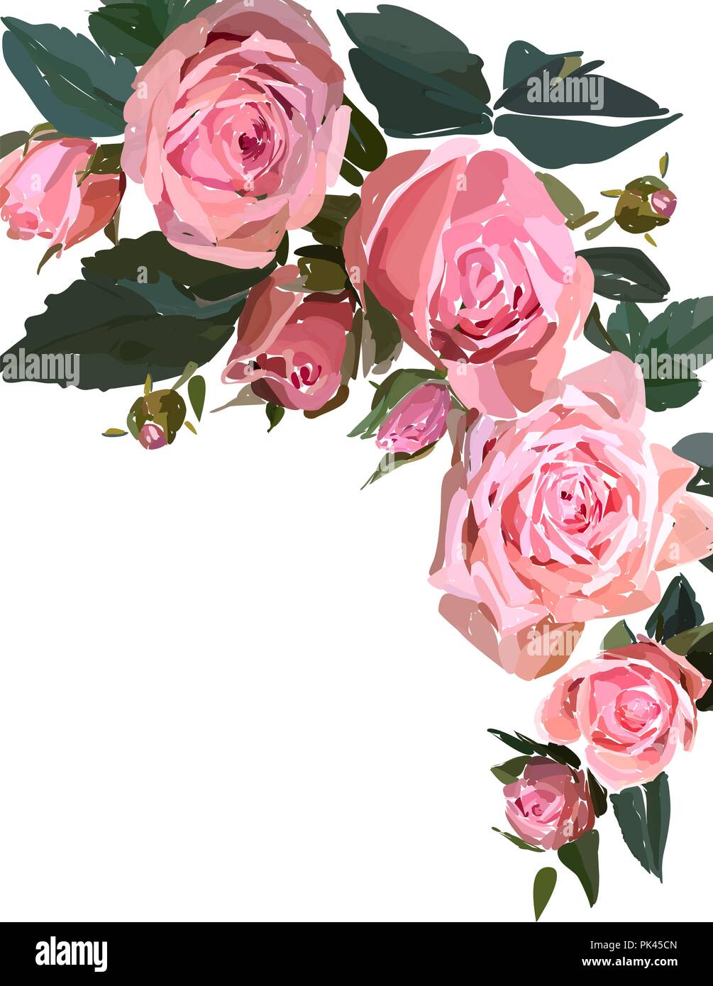 Floral Design Illustration Fleur De Jardin Rose Rose Isolé