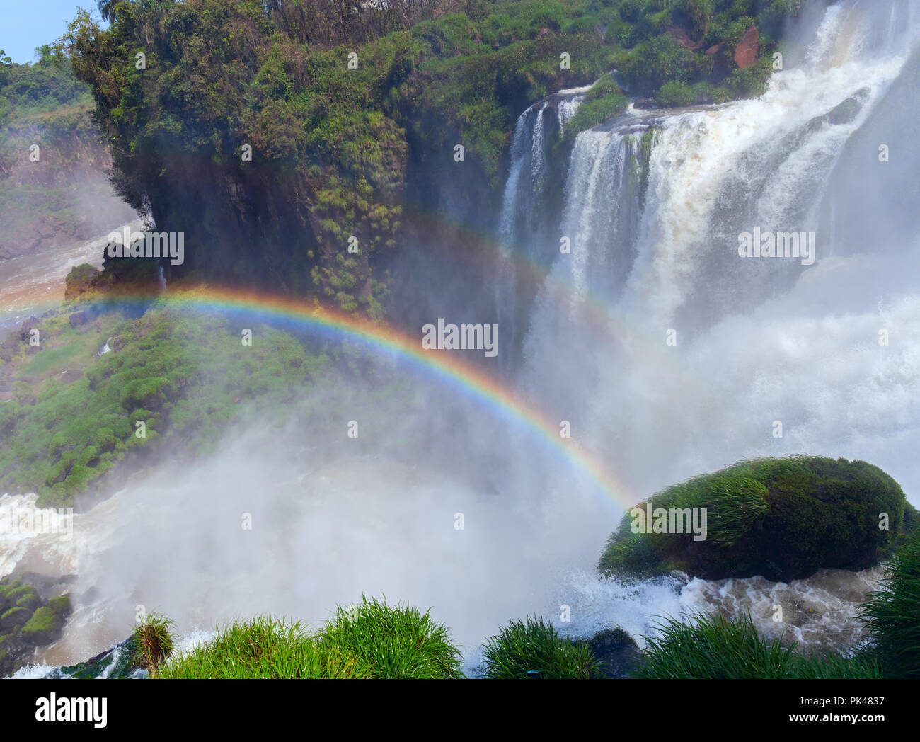 Avis de rainbow au chutes d'Iguaçu Argentine Banque D'Images