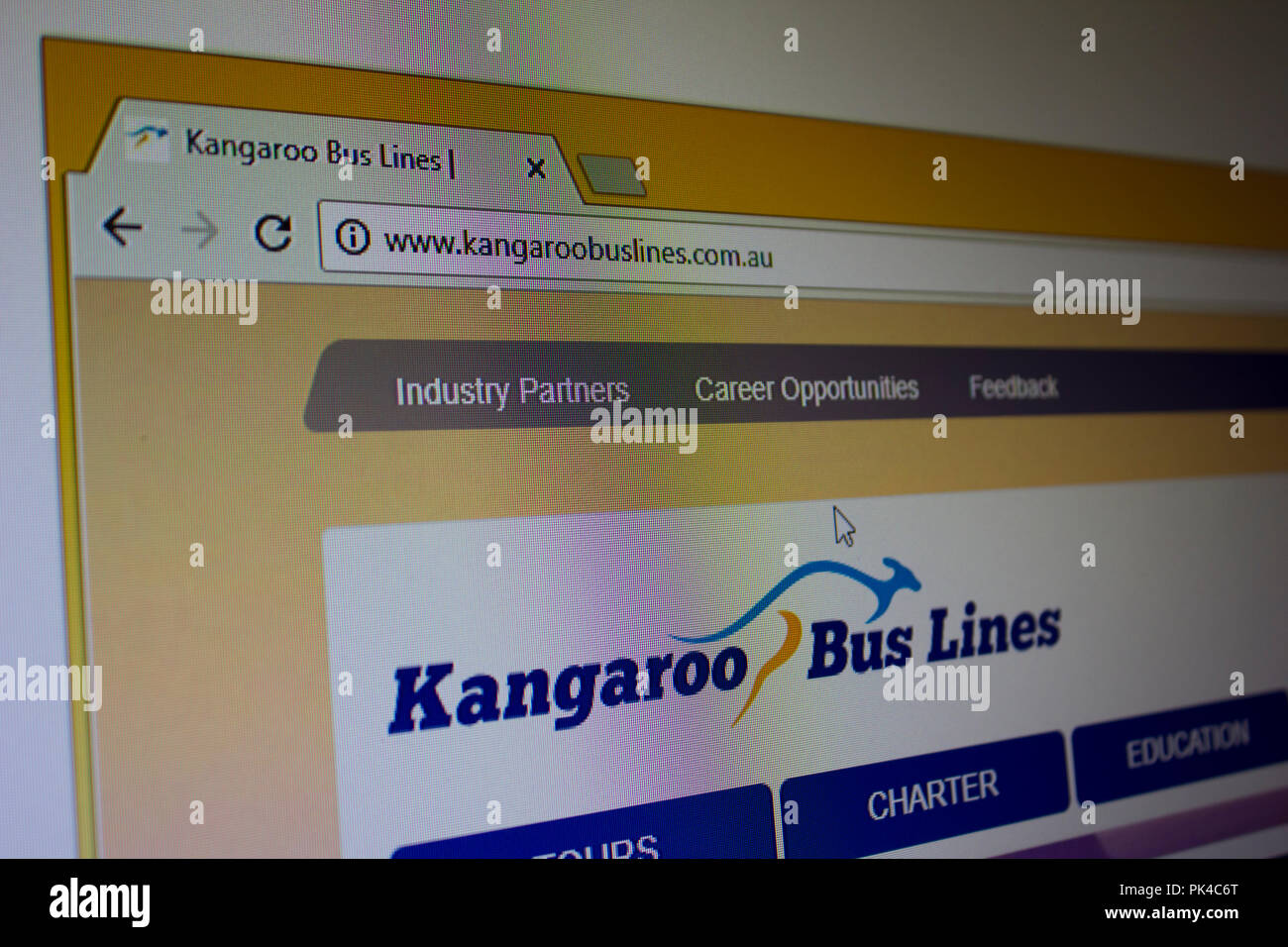 Les lignes de bus d'accueil du site Web de kangourou Banque D'Images