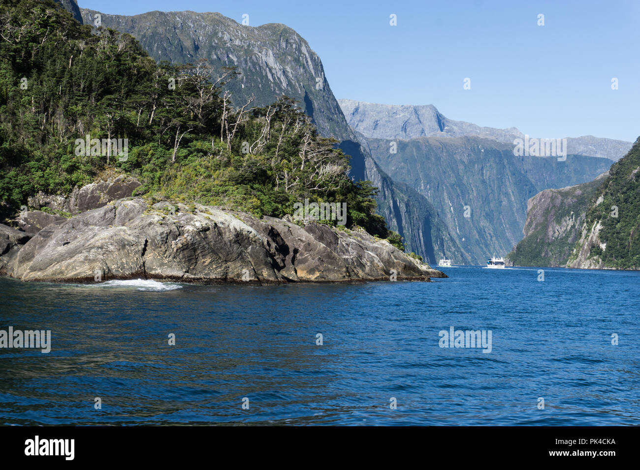 Croisière Milford Sound, Nouvelle Zélande Île du Sud avec vue sur les montagnes et les Fjords Banque D'Images