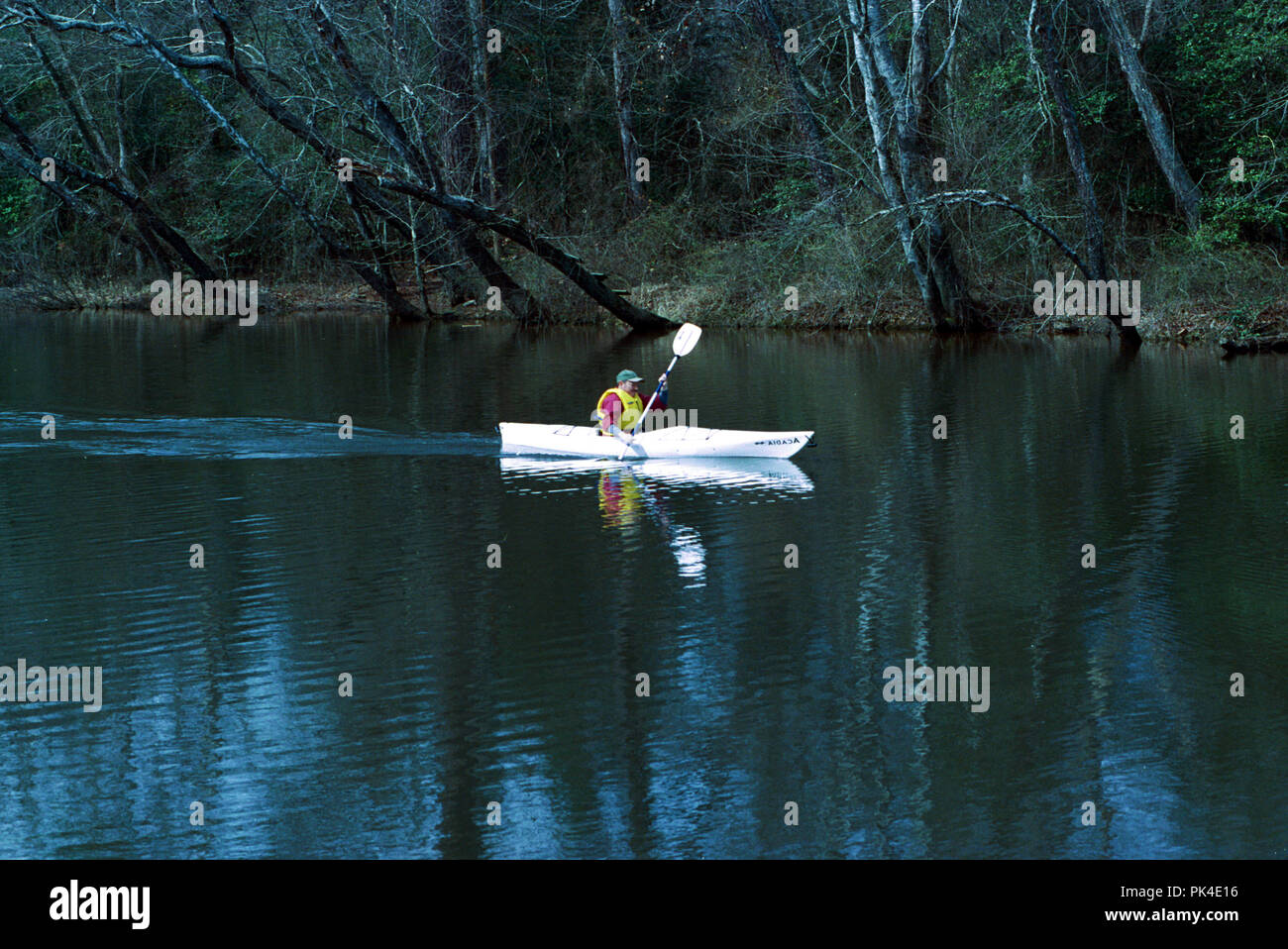 Mattaponi24/021402 -- Canoë la partie supérieure, juste au-dessus de la rivière Mattaponi Alett, Virginie. La partie supérieure est Mattaponi les frayères de hareng et l'alose dans t Banque D'Images