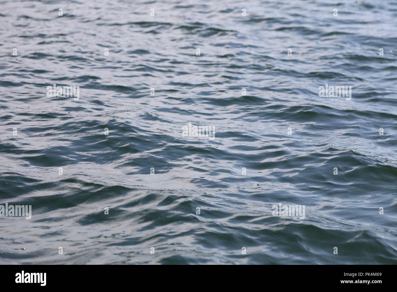 Détail d'ondes de surface de l'océan Banque D'Images