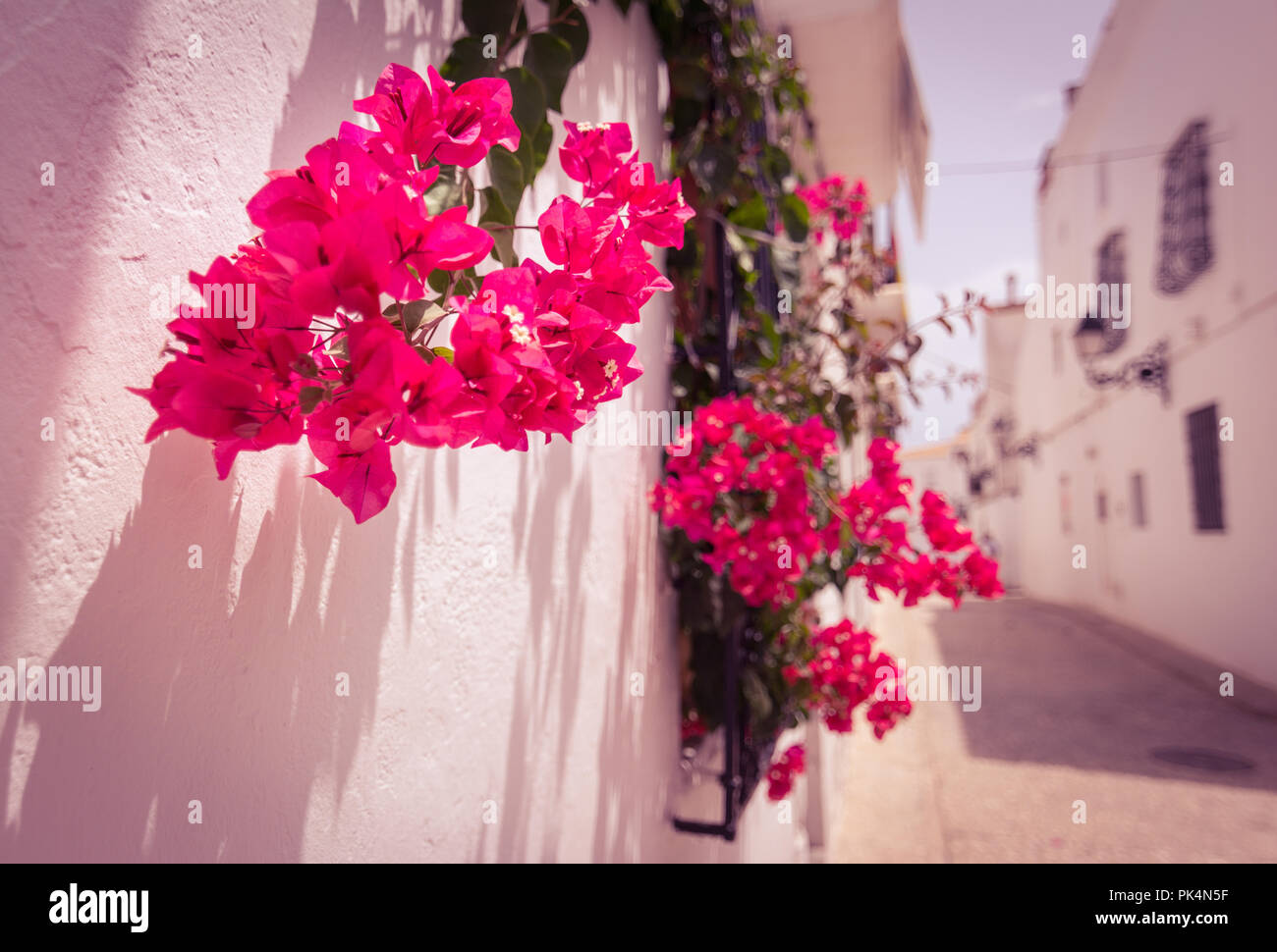 Fleurs suspendues au fenêtre sur une rue étroite dans village blanc d'Altea, Alicante, Espagne Banque D'Images