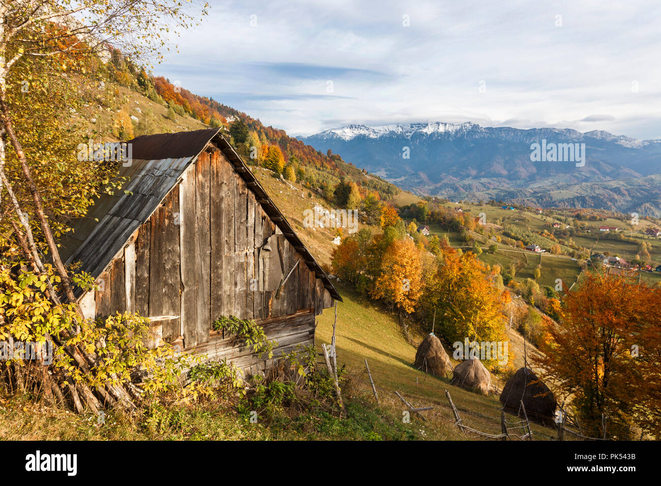 Paysage d'automne dans le village de montagne Magura, dans les Carpates. La Roumanie, l'Europe. Banque D'Images