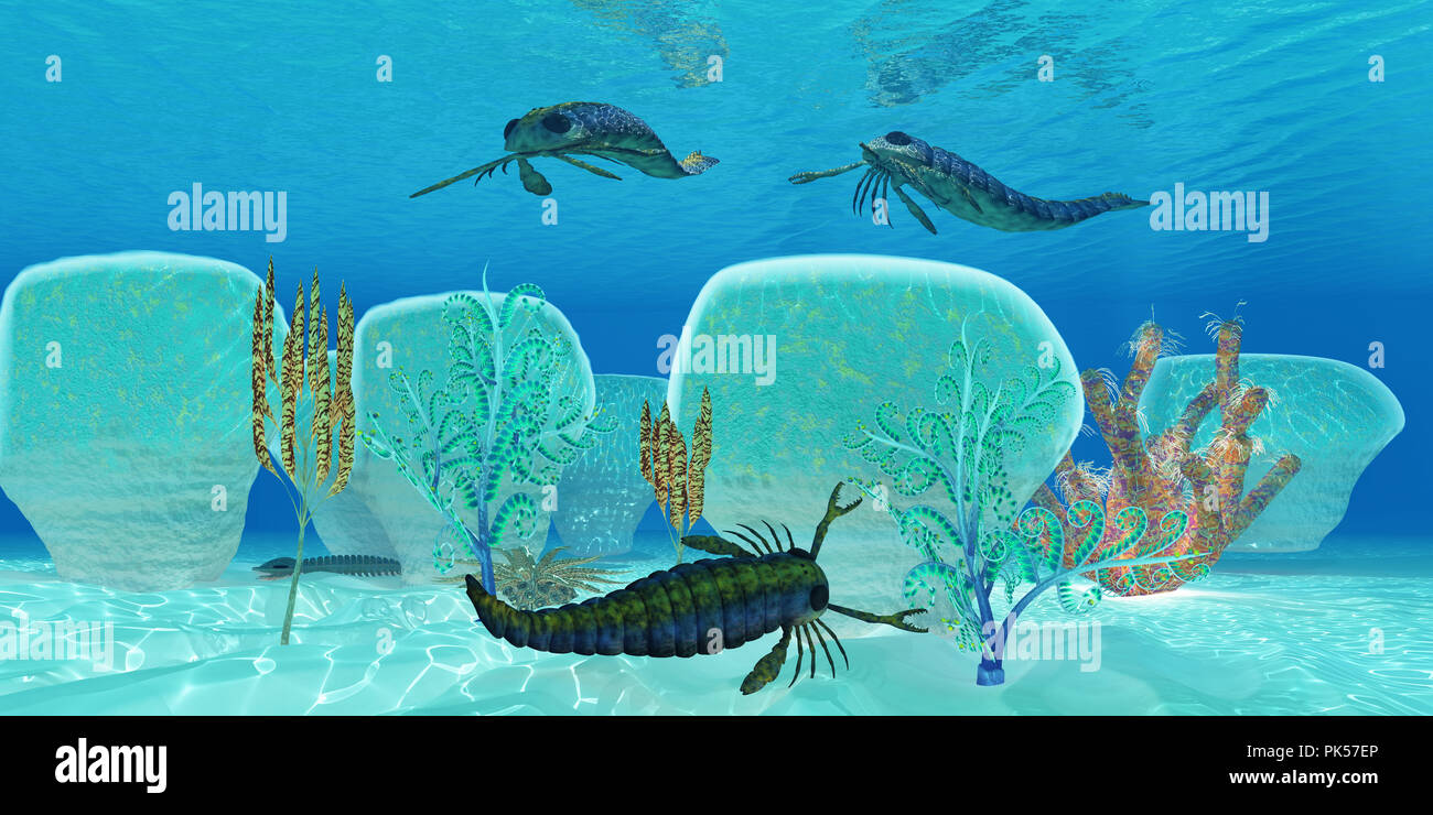 Pterygotus océan poisson Scorpion - Pterygotus était un scorpion de mer carnivores qui vivait dans le Silurien Dévonien et périodes. Banque D'Images