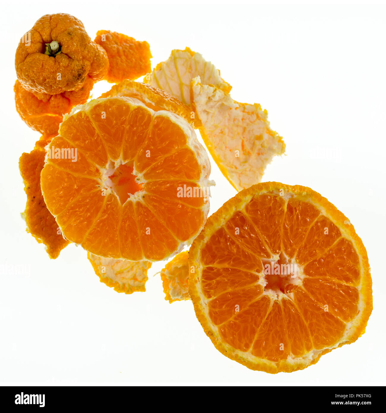 Agrumes de Sumo, appelé aussi dekopon, est une variété sans pépins et Sweet Mandarin, distinctif en raison de sa grande taille et grande bosse saillante sur le dessus. Banque D'Images