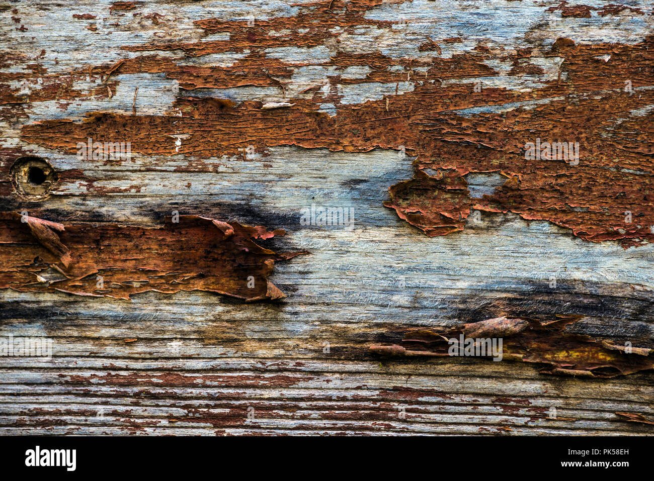 Weathered barn bois texture de fond rustique Banque D'Images