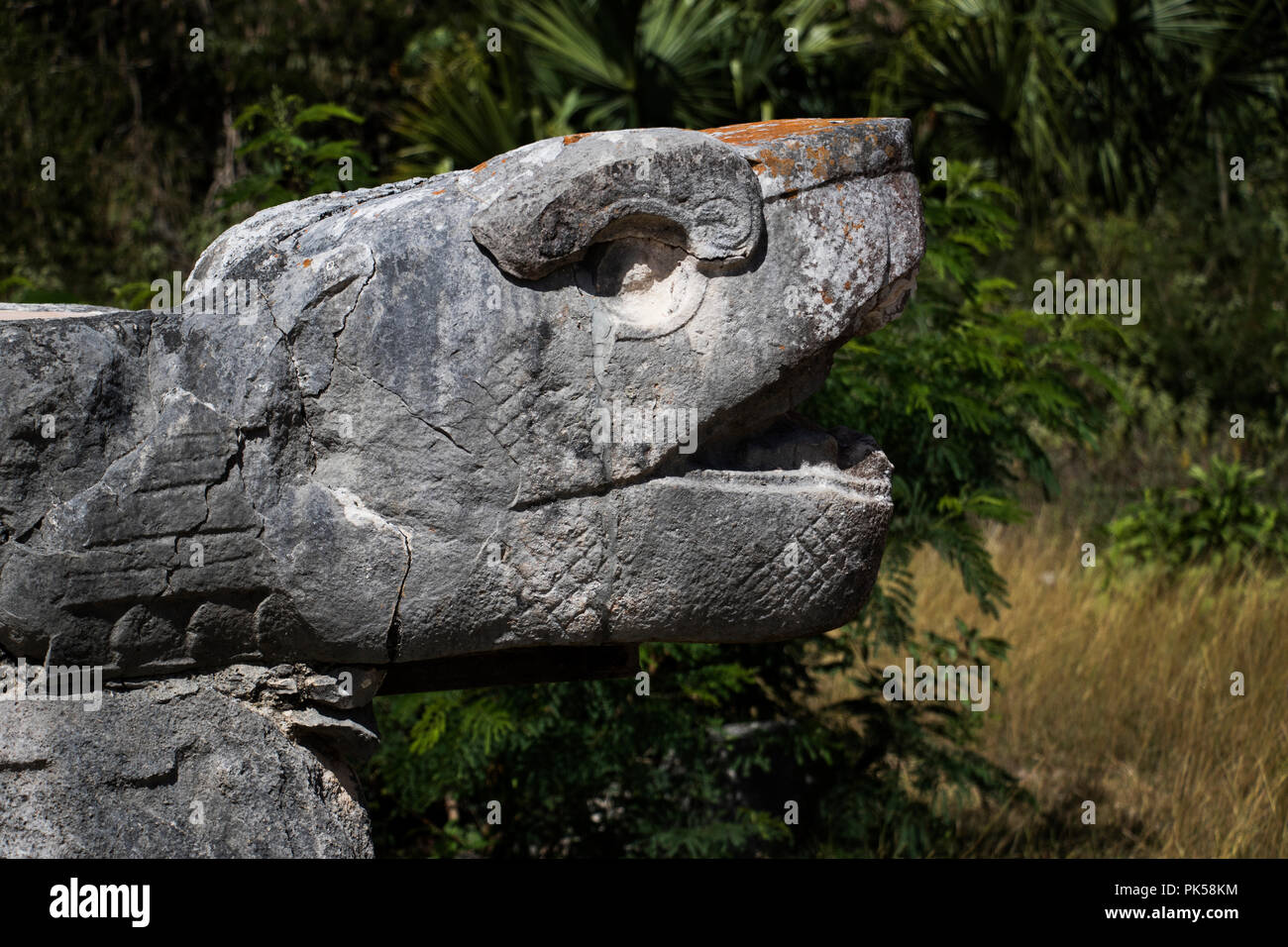 Sculpture de serpent en pierre ruines mayas. Banque D'Images