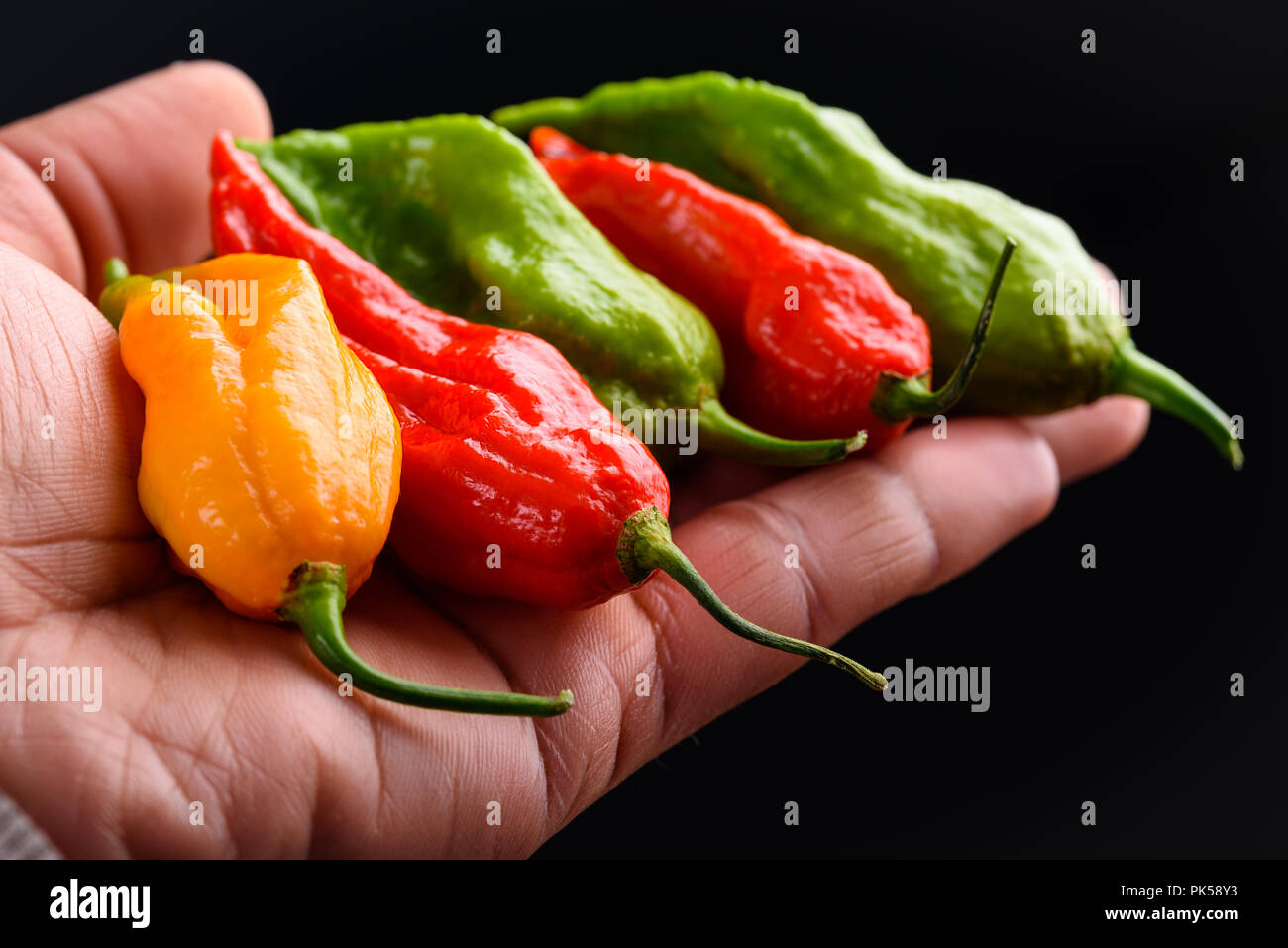 Close up view of hand holding red, vert et jaune poivrons ghost Banque D'Images