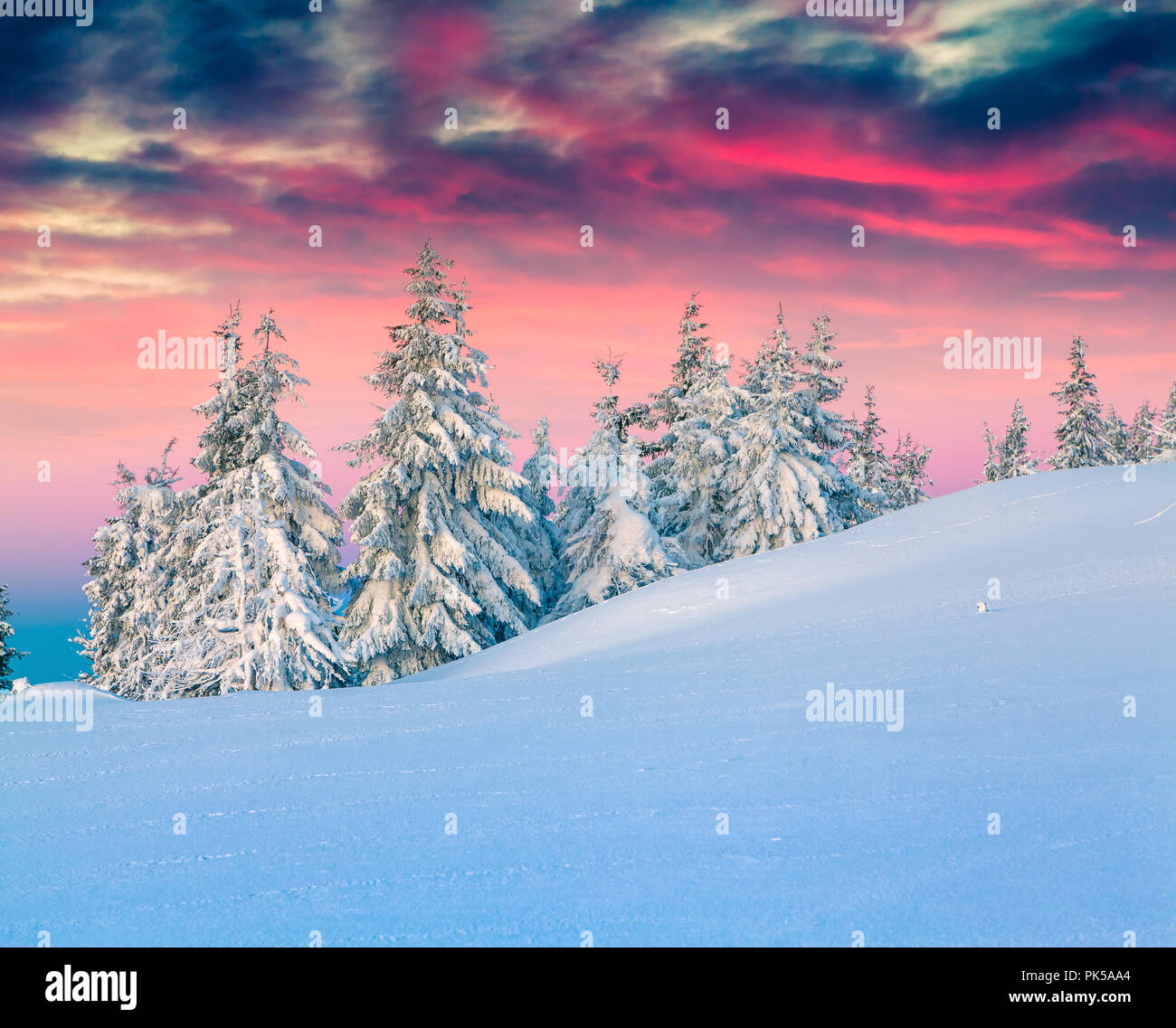 Scène d'hiver coloré dans les montagnes enneigées. Neige fraîche à frosty matin première rougeoyant du soleil. Instagram tonifiant. Banque D'Images