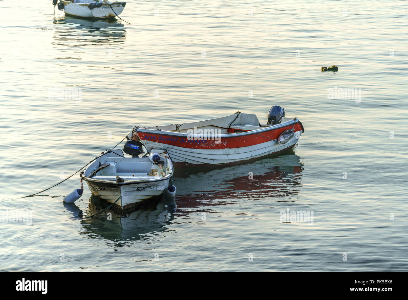 Petits bateaux de pêche flottant dans le port de poissons de Cascais - Portugal Banque D'Images