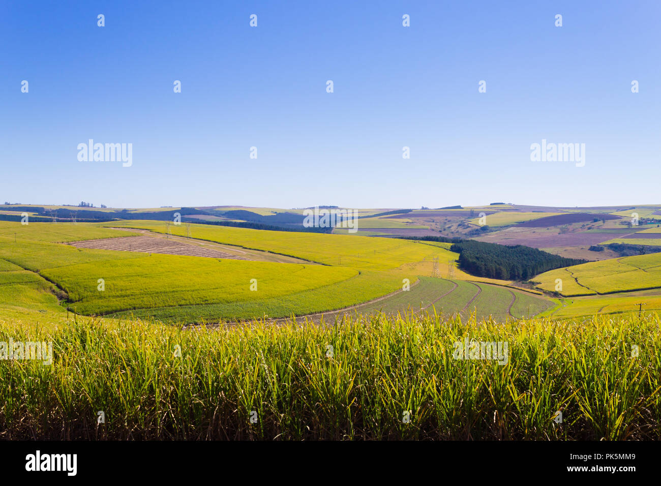 Vallée des Mille collines paysage. Green Hills panorama. Vue d'Afrique du Sud près de Durban. Banque D'Images