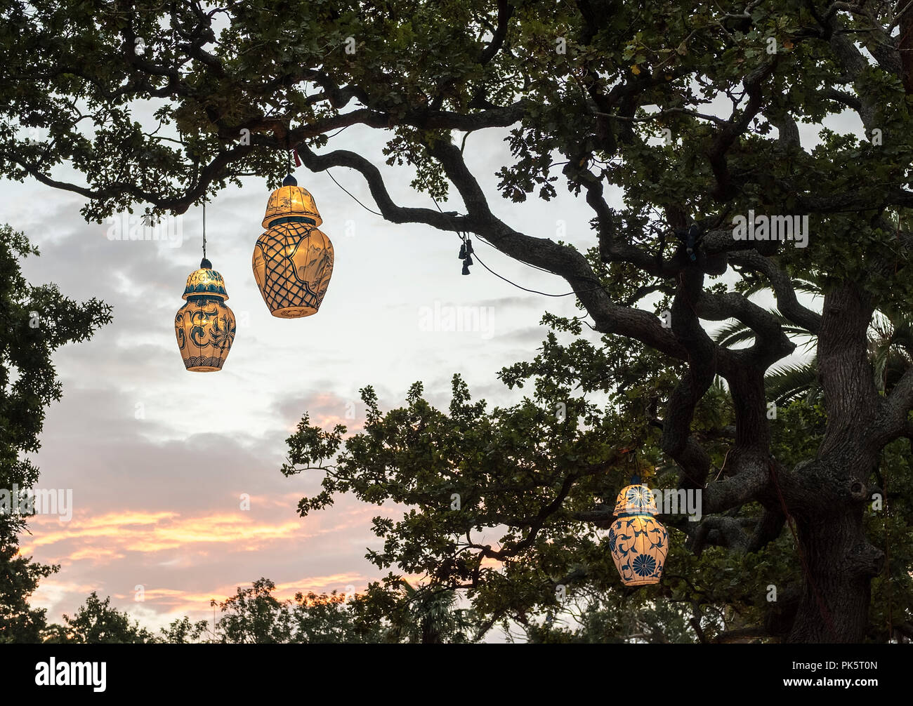 Lanternes sur un arbre au cours de Festival à Auckland, Nouvelle-Zélande Banque D'Images