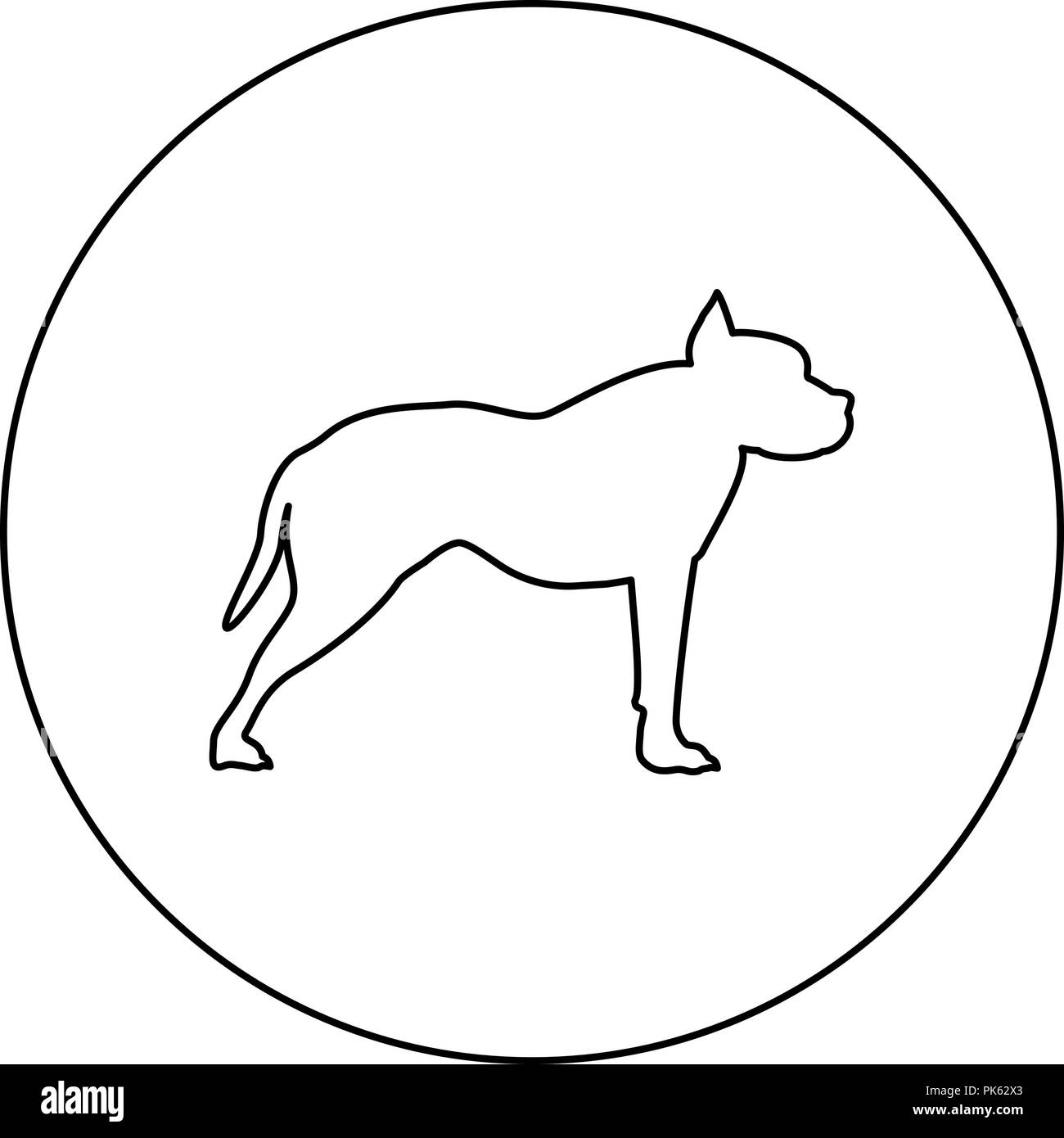 Pit-bull terrier icon noir en couleur cercle rond contours vector JE Illustration de Vecteur