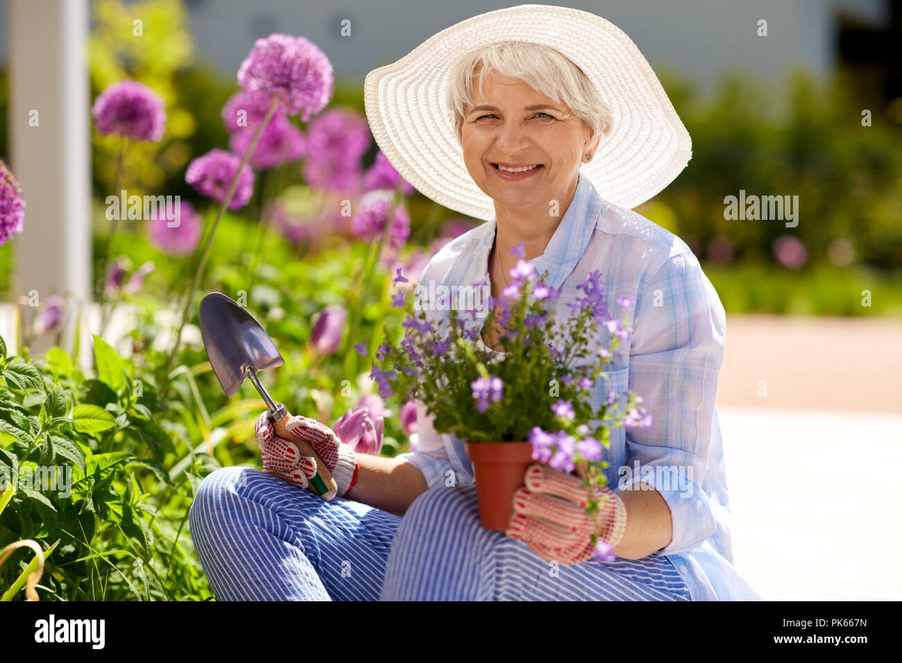 Senior woman planter des fleurs au jardin d'été Banque D'Images