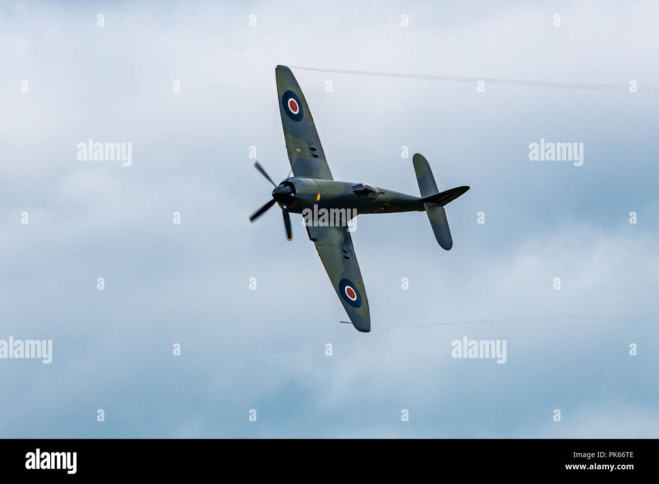 Des traînées de vapeur pause dans les extrémités de l'aile d'un Hawker Sea Fury chasseur-bombardier à la charge de l'opérateur lors d'un affichage de l'air.. Banque D'Images