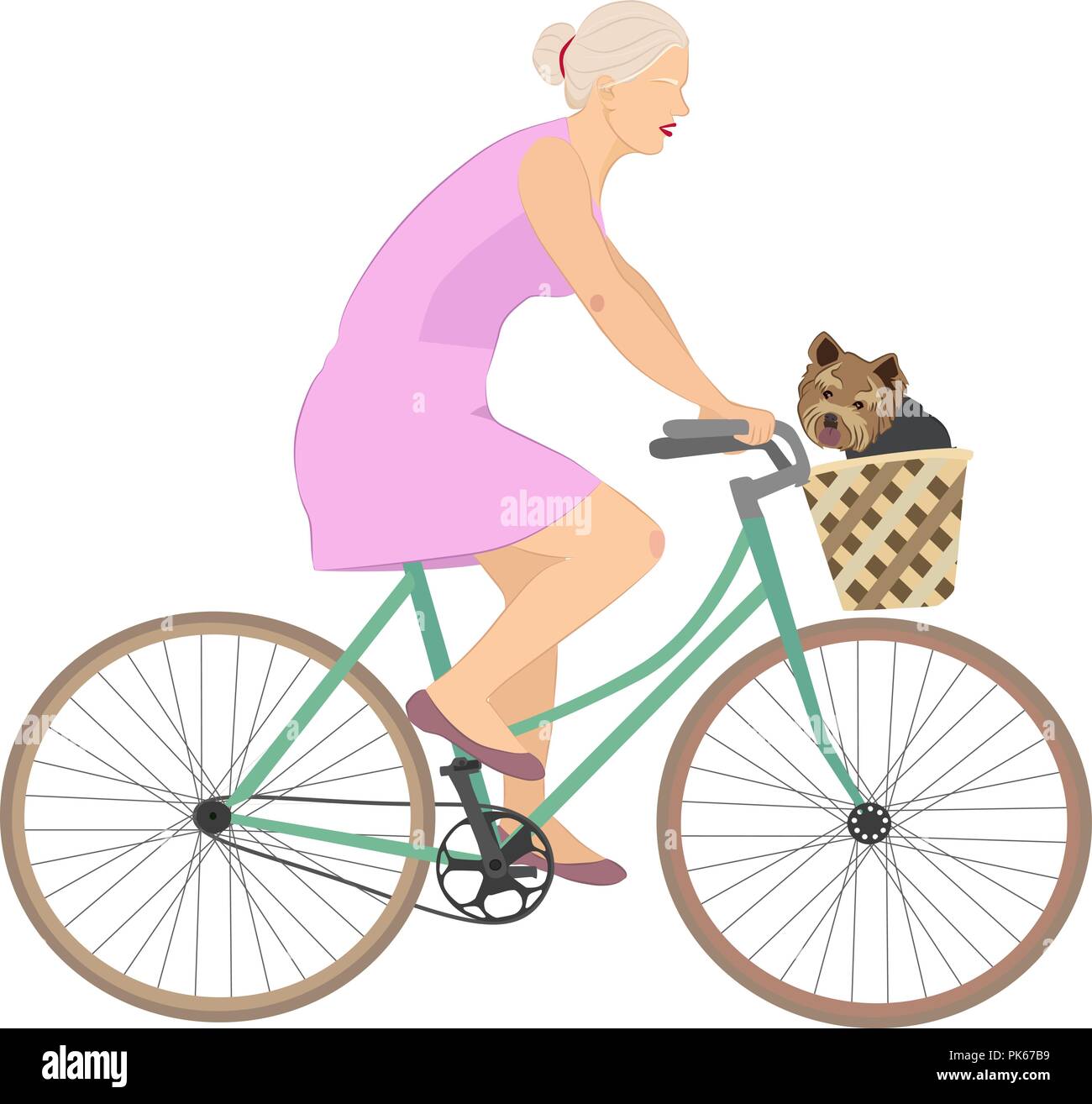 Des promenades en vélo avec femme yorkshire terrier dans panier. Fille blonde sur vélo avec chien dans panier isolé sur fond blanc. Temps libre avec l'animal. Illustration de Vecteur
