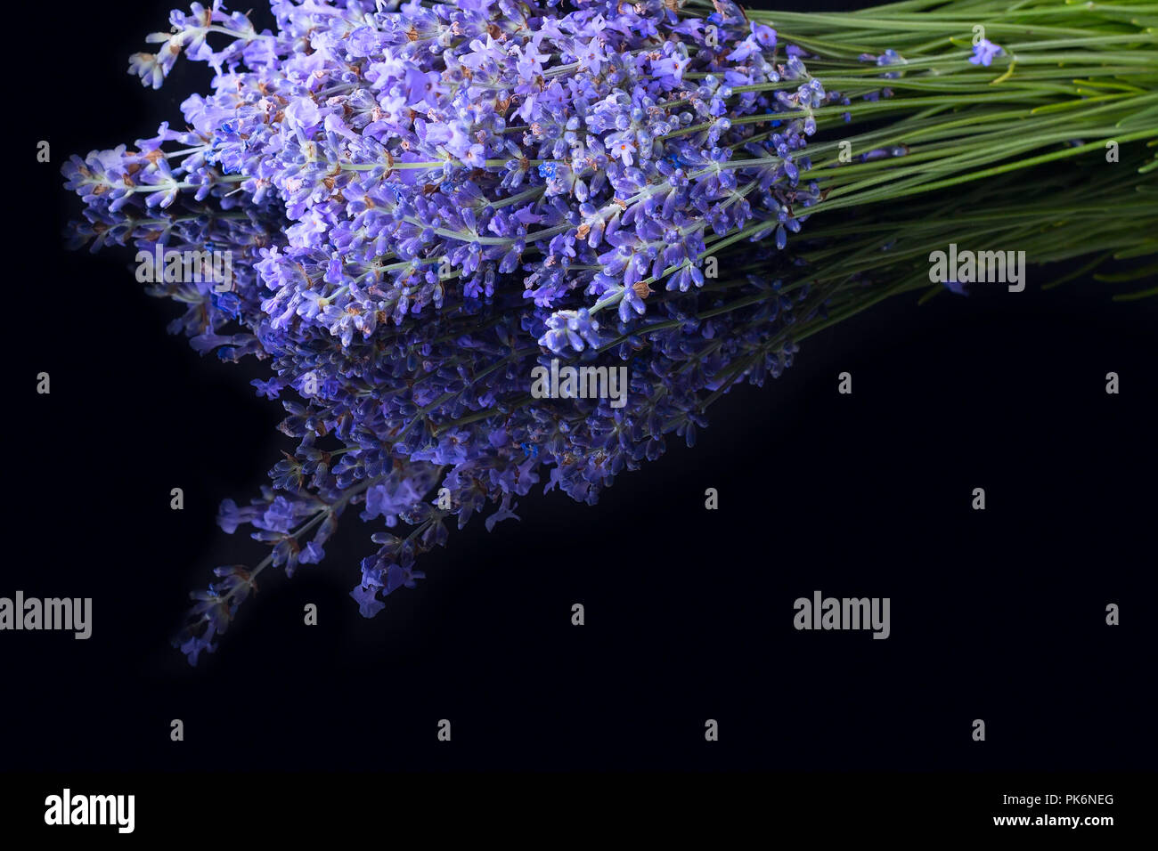 Bouquet De Fleurs De Lavande De Montagne Sauvage Sur Fond