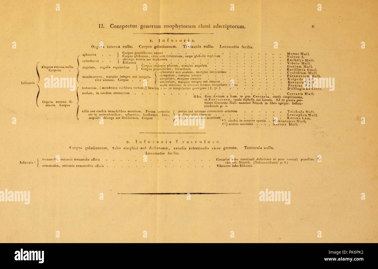 Beobachtungen auf Reisen naturhistorischen (Tableau II) Banque D'Images