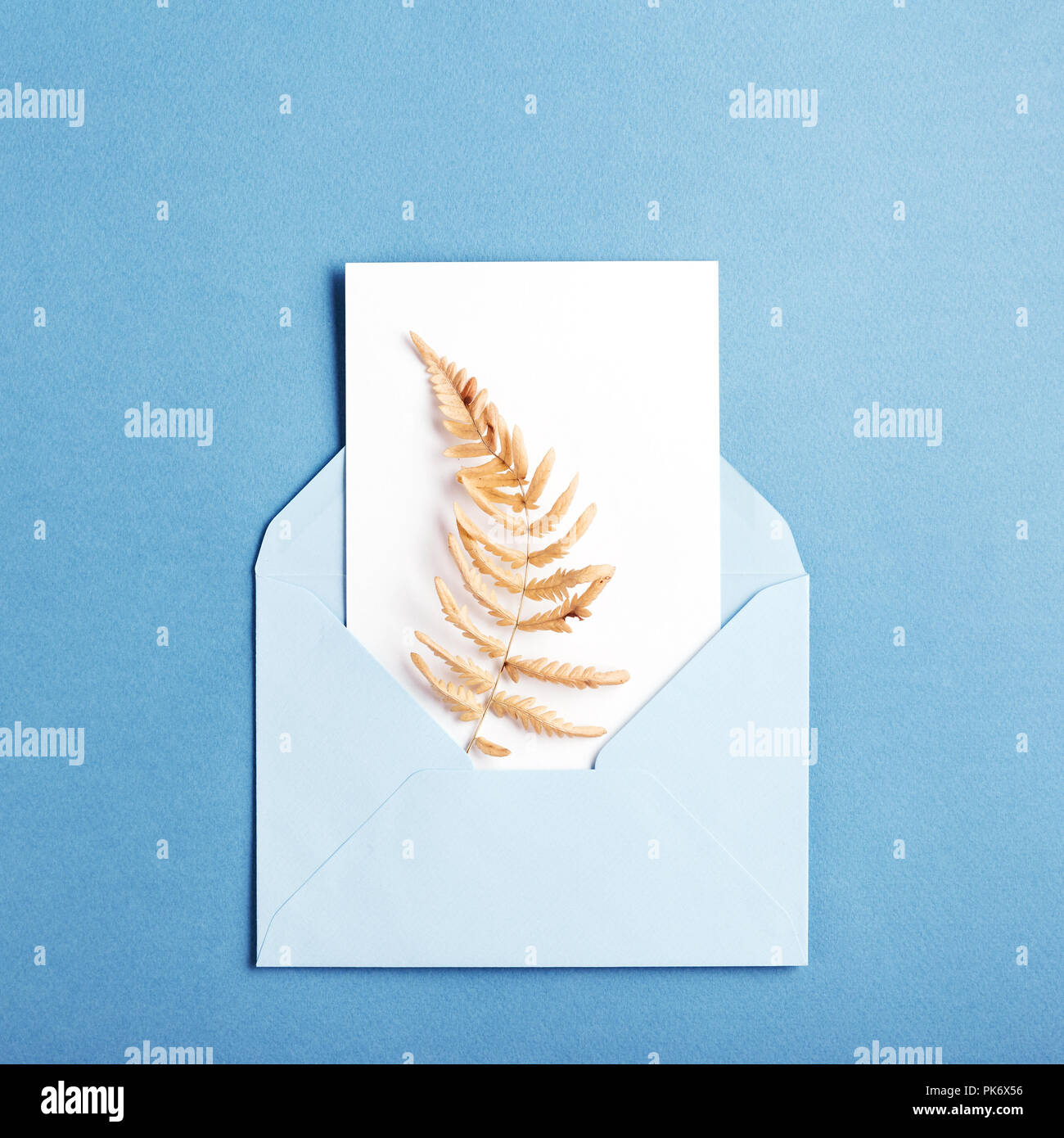 Carte vide en bleu enveloppe avec fougère séchée sur fond bleu. Banque D'Images
