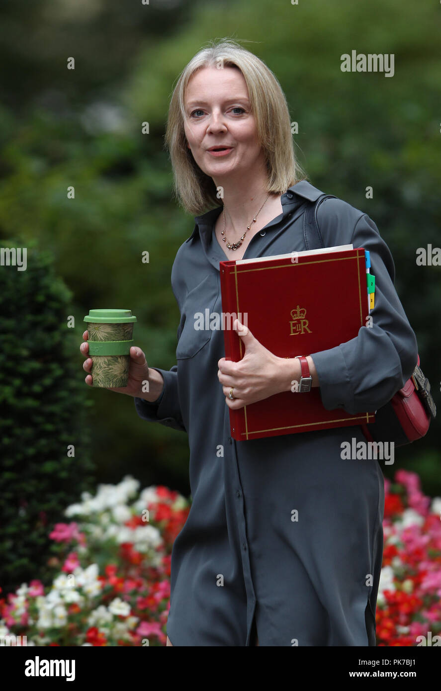 Londres, Royaume-Uni, 11 septembre 2018. Elizabeth Truss, députée secrétaire en chef au Trésor, arrive à Downing Street pour la réunion hebdomadaire du Cabinet Banque D'Images