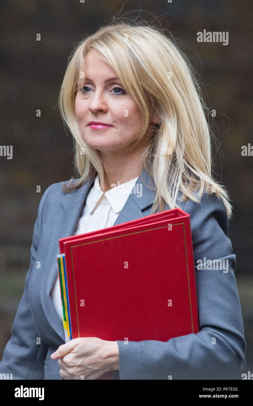 Londres, Royaume-Uni. 11 Septembre, 2018. Esther McVey, député, secrétaire d'État pour le travail et les pensions, arrive au 10 Downing Street pour une réunion du Cabinet. Credit : Mark Kerrison/Alamy Live News Banque D'Images
