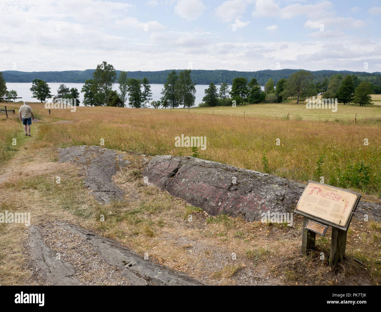 Högsbyn zone de pétroglyphes dans La Suède compte environ 2500 Autriche les figures de l'âge du bronze sur les roches dans une nature idyllique réserver Banque D'Images
