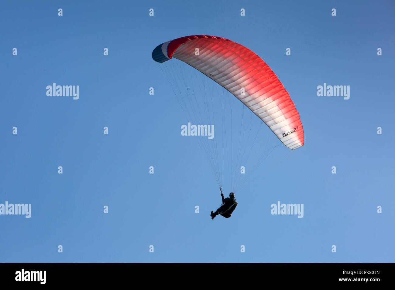 Royaume-uni, Angleterre, dans le Yorkshire, Filey, de parapente volant au-dessus des falaises du Crescent Gardens Banque D'Images