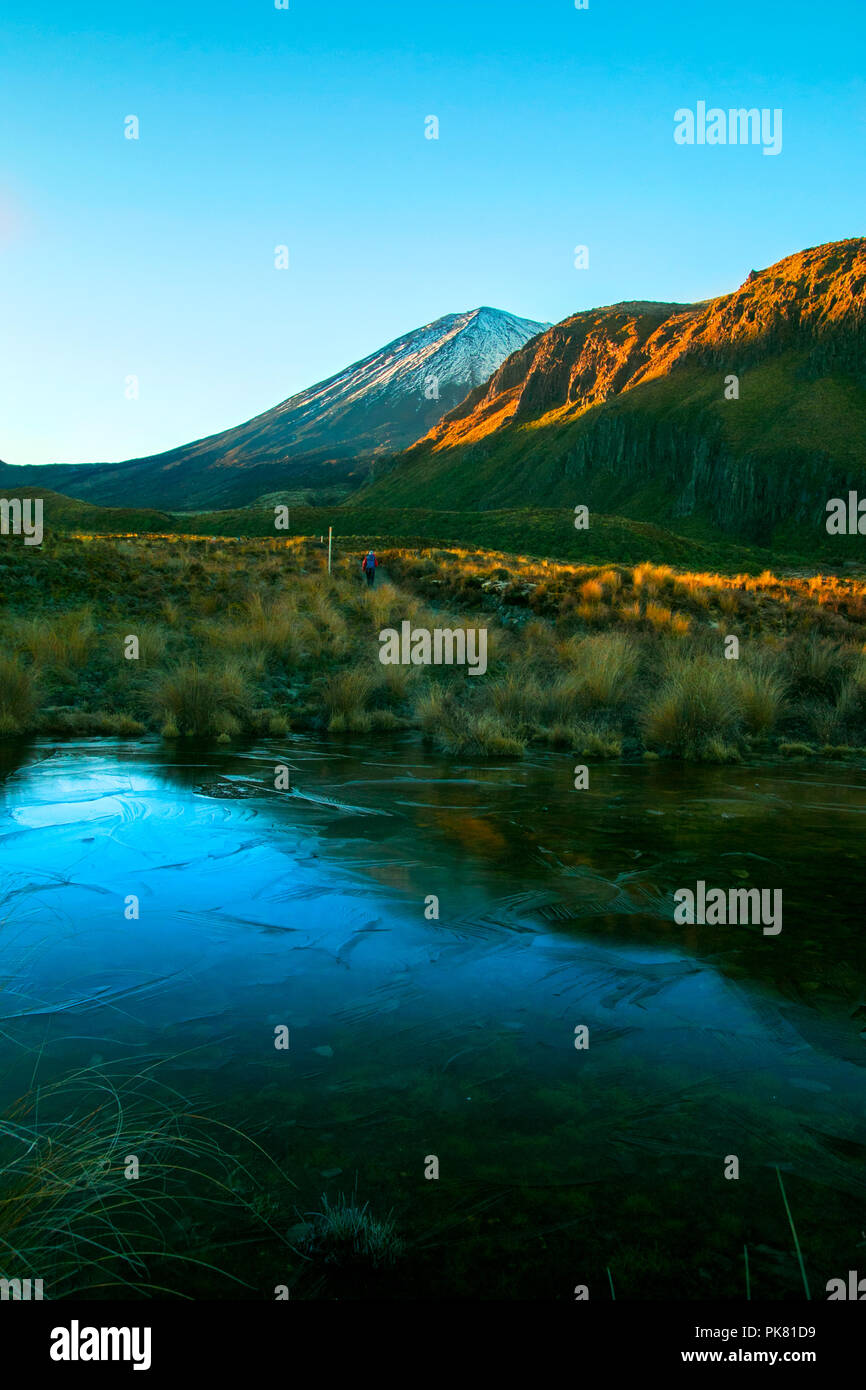 Lever tôt le matin, paysage paysage de lac d'eau pure bleu gelé, montagnes sauvages, énorme volcan avec le pic première couverte par la neige, Nouvelle-Zélande Banque D'Images