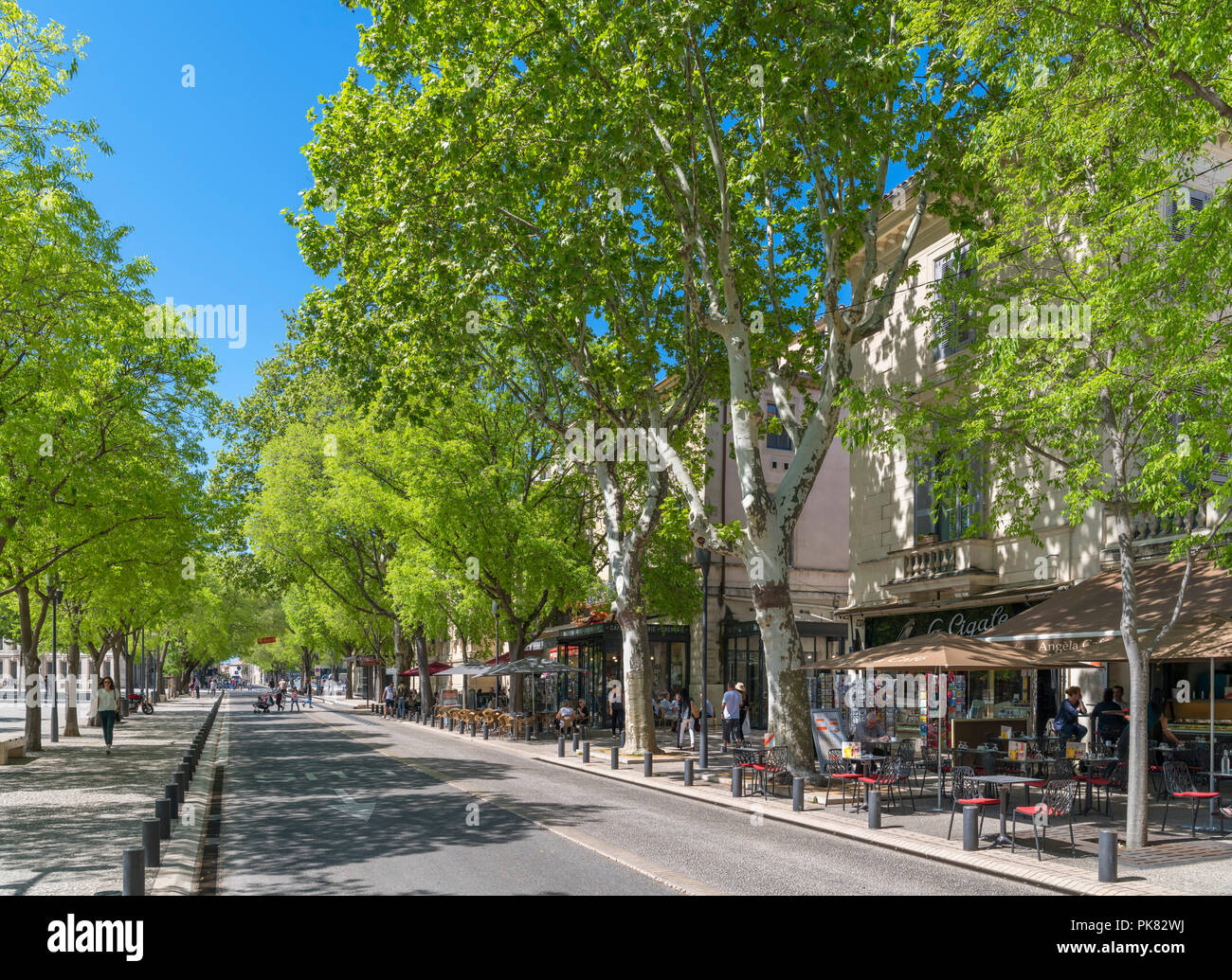 Cafés et bars sur le Boulevard de la libération dans le centre-ville, Nîmes, Languedoc, France Banque D'Images