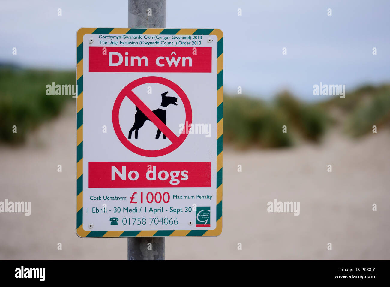 Interdiction chien signe en beach Banque D'Images