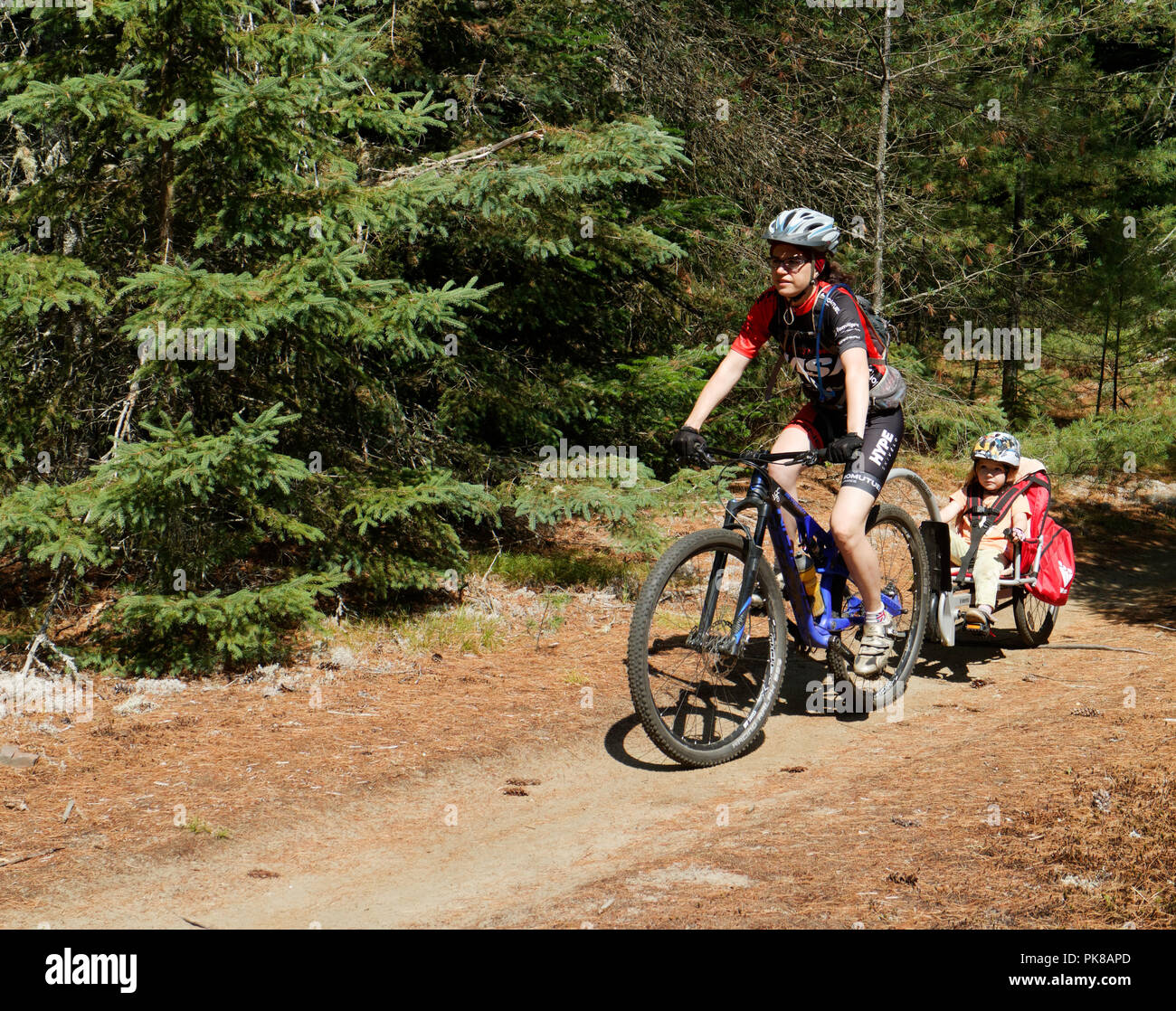 Une dame de remorquage vélo de montagne sa fille dans une remorque vélo enfant Weehoo dans le royaume sentiers à East Burke, Vermont, USA Banque D'Images