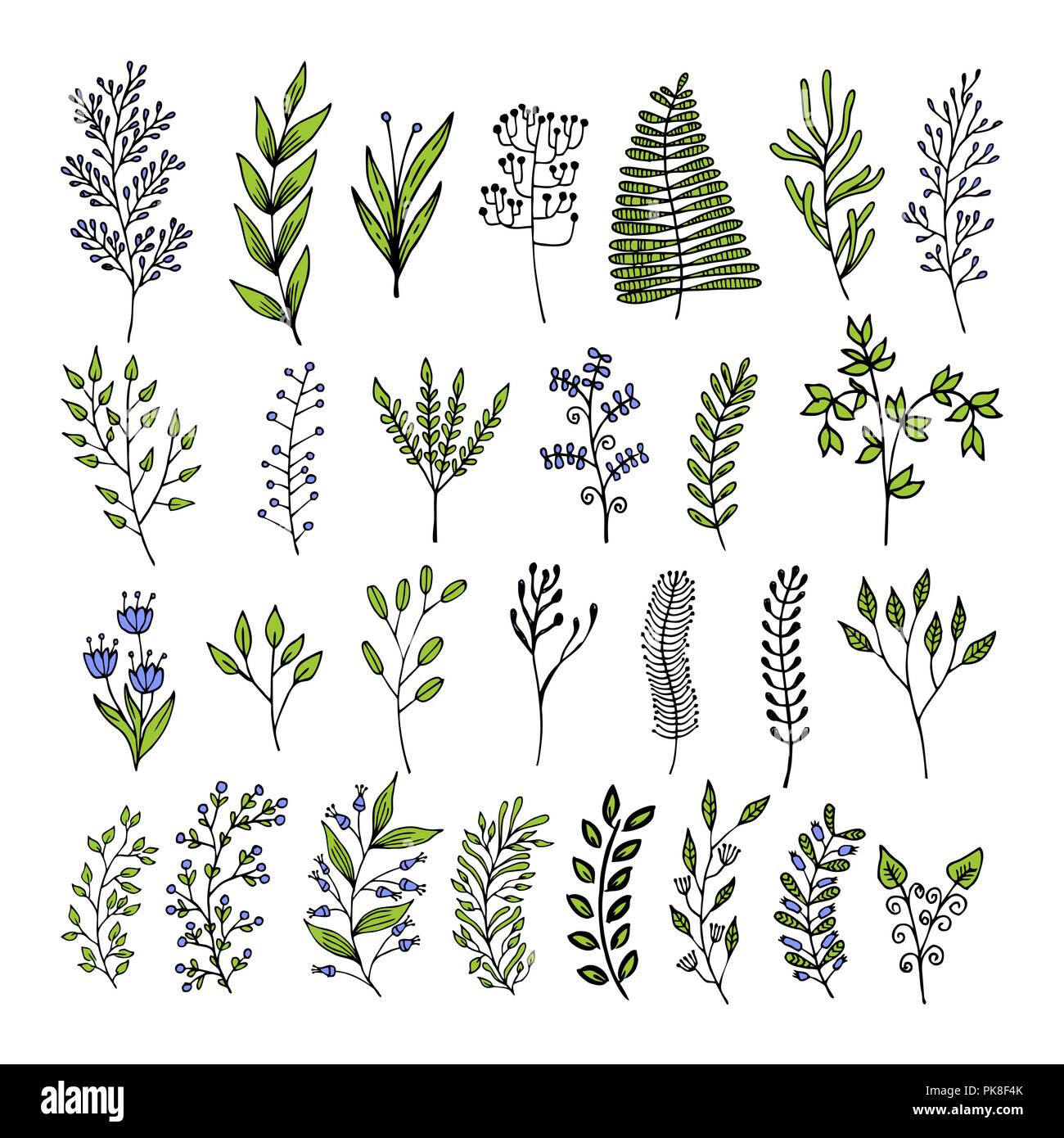 Les éléments Floraux Vecteur Dans Doodle Style Les Fleurs