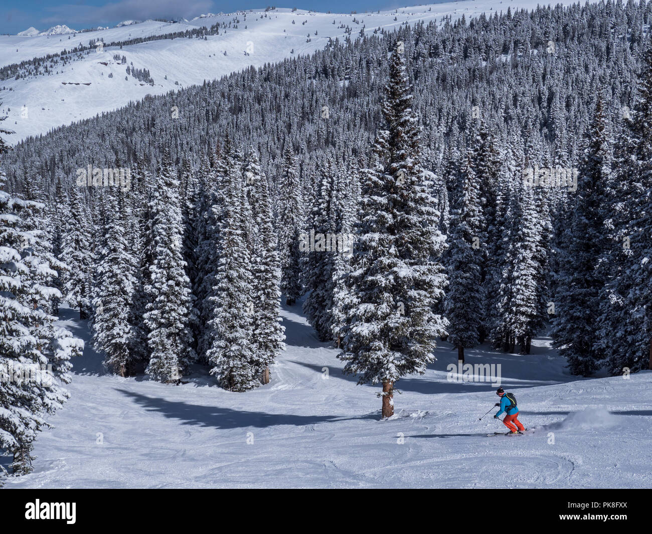 Big Rock Park Trail, hiver, Blue Sky Basin, Station de Ski de Vail, Vail, Colorado. Banque D'Images
